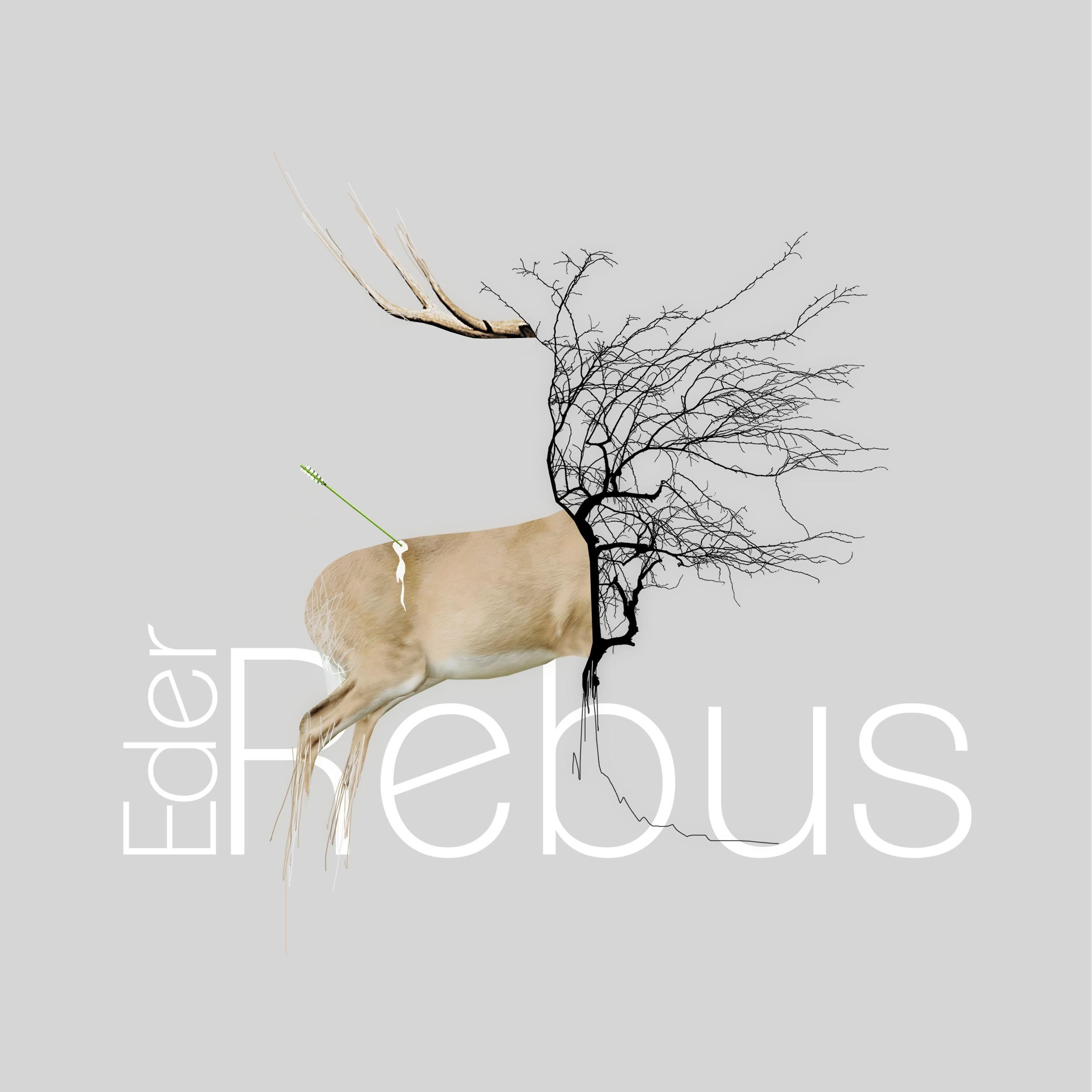 Постер альбома Rebus