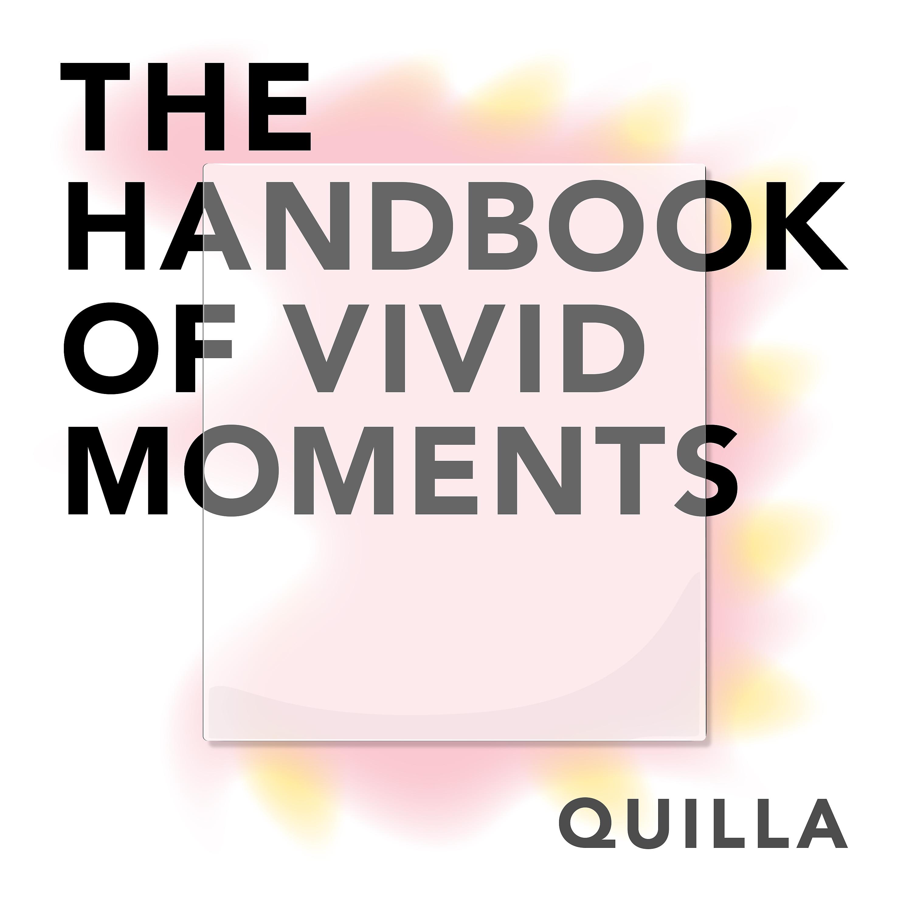Постер альбома The Handbook of Vivid Moments