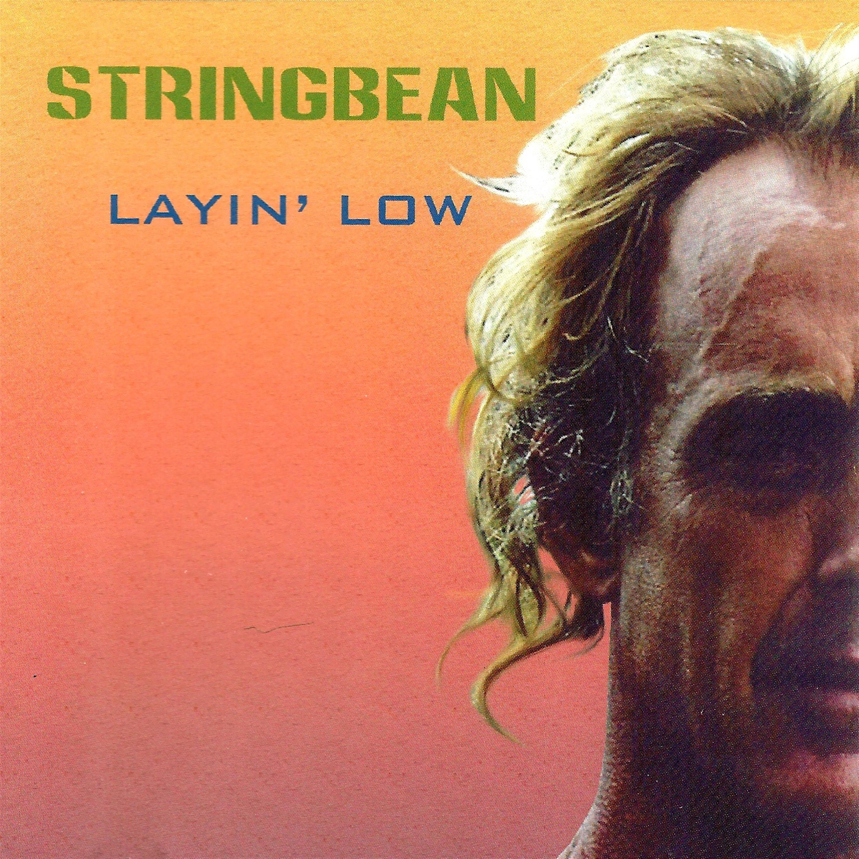 Постер альбома Layin' Low