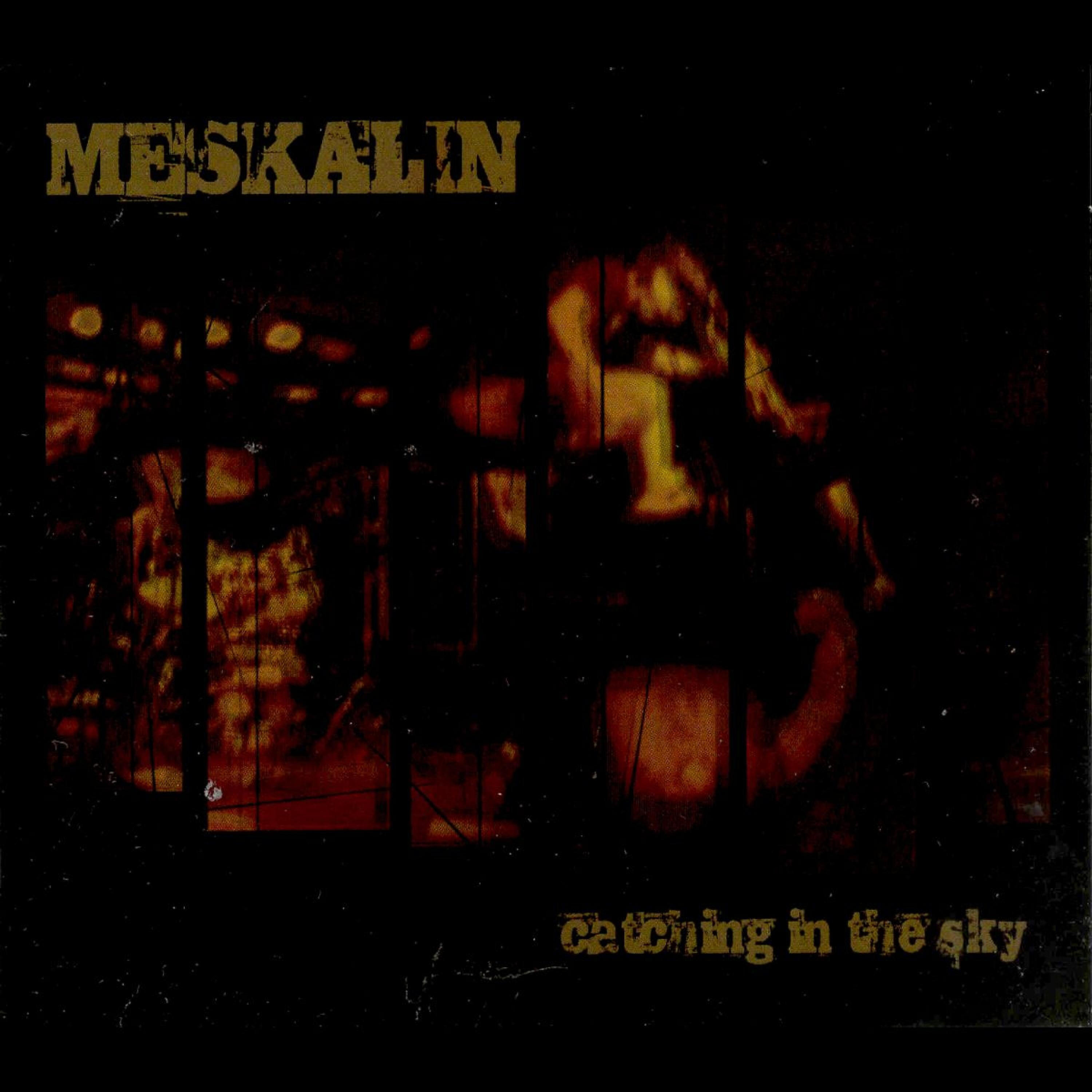 Meskalin - This Song and You