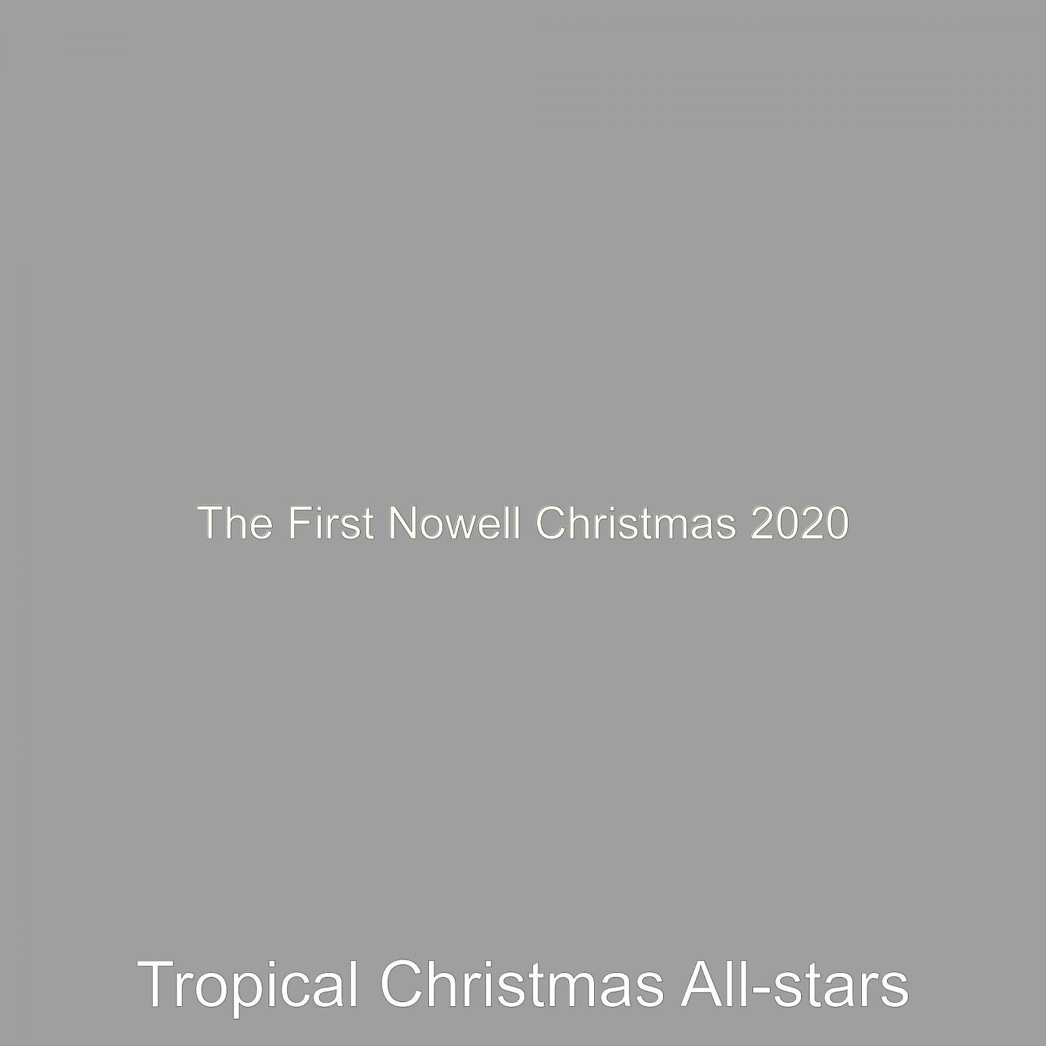 Tropical Christmas All-stars - Ding Dong Merrily on High - Christmas Holidays