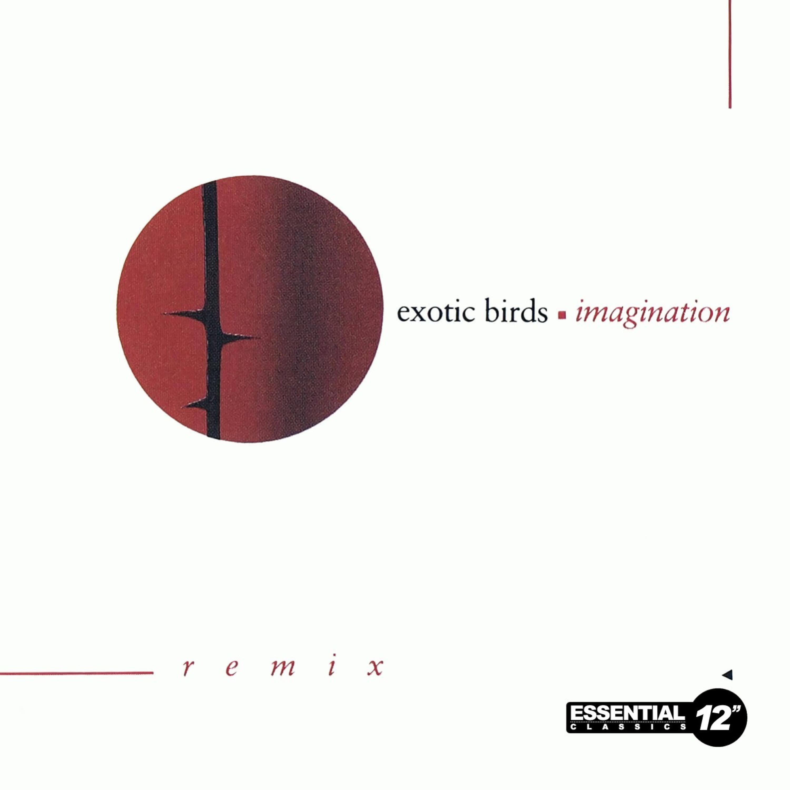 Exotic Birds - Imagination (Heavy)