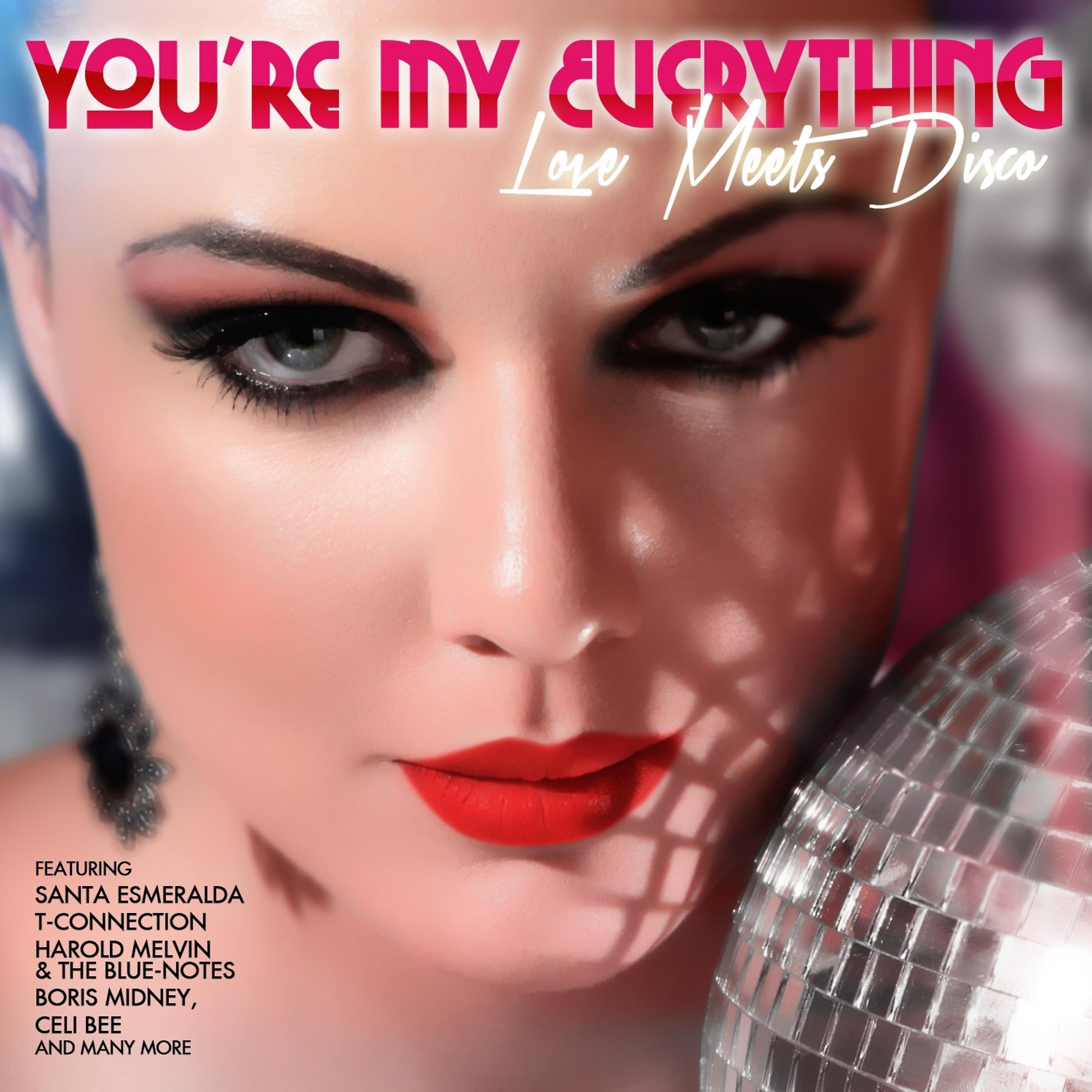 Постер альбома You're My Everything - Love Meets Disco