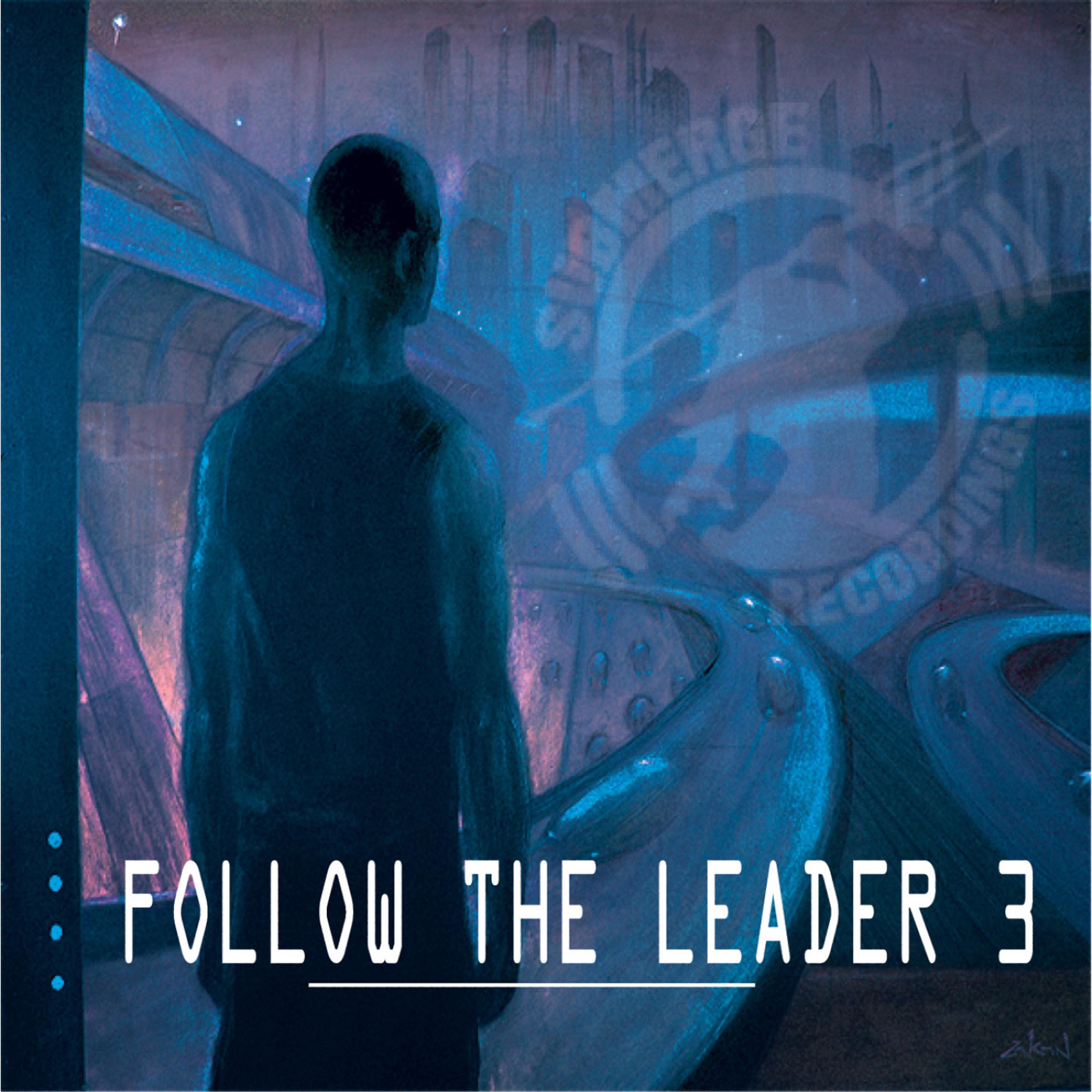 Постер альбома Follow The Leader 3
