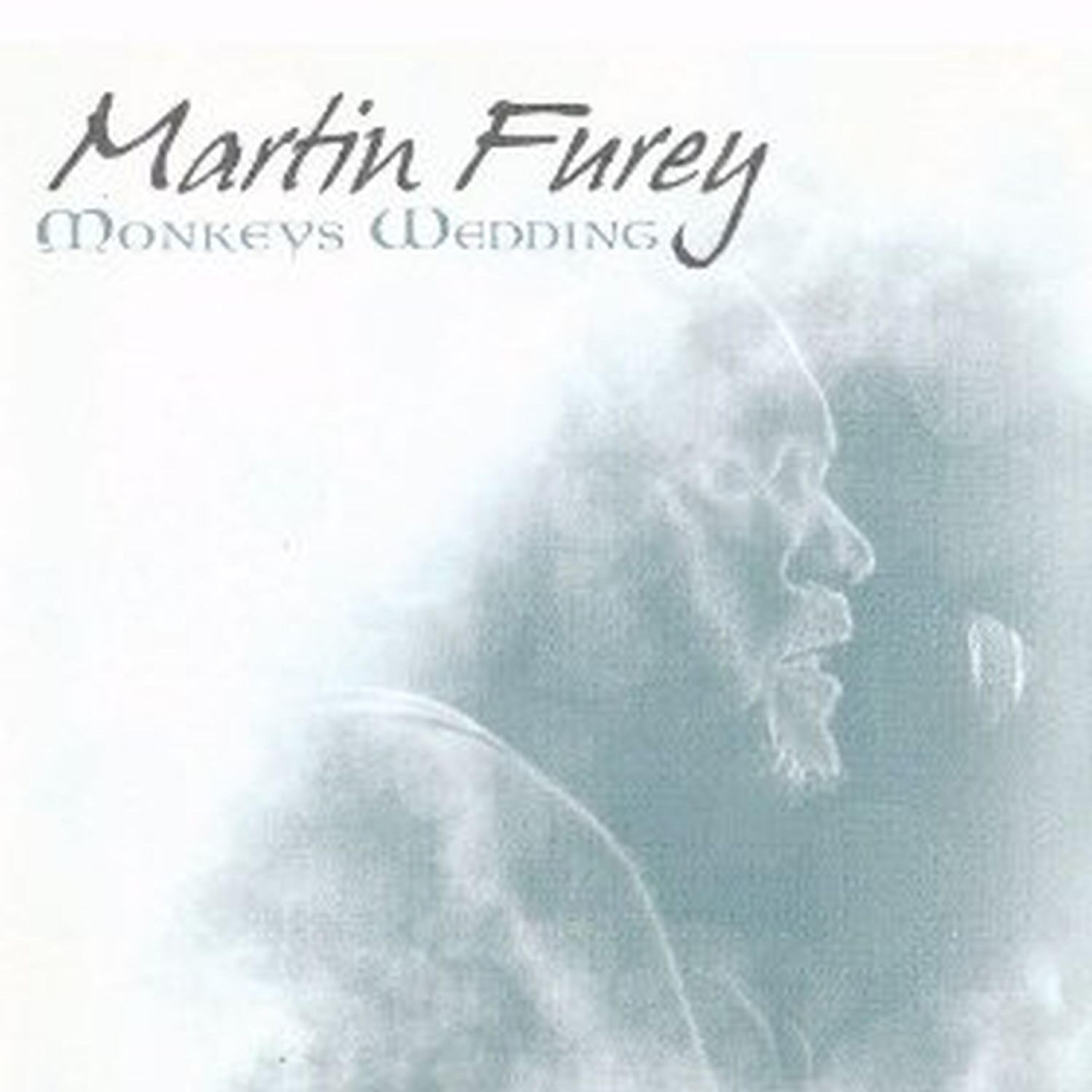 Martin Furey - Flesh 'N' Bone
