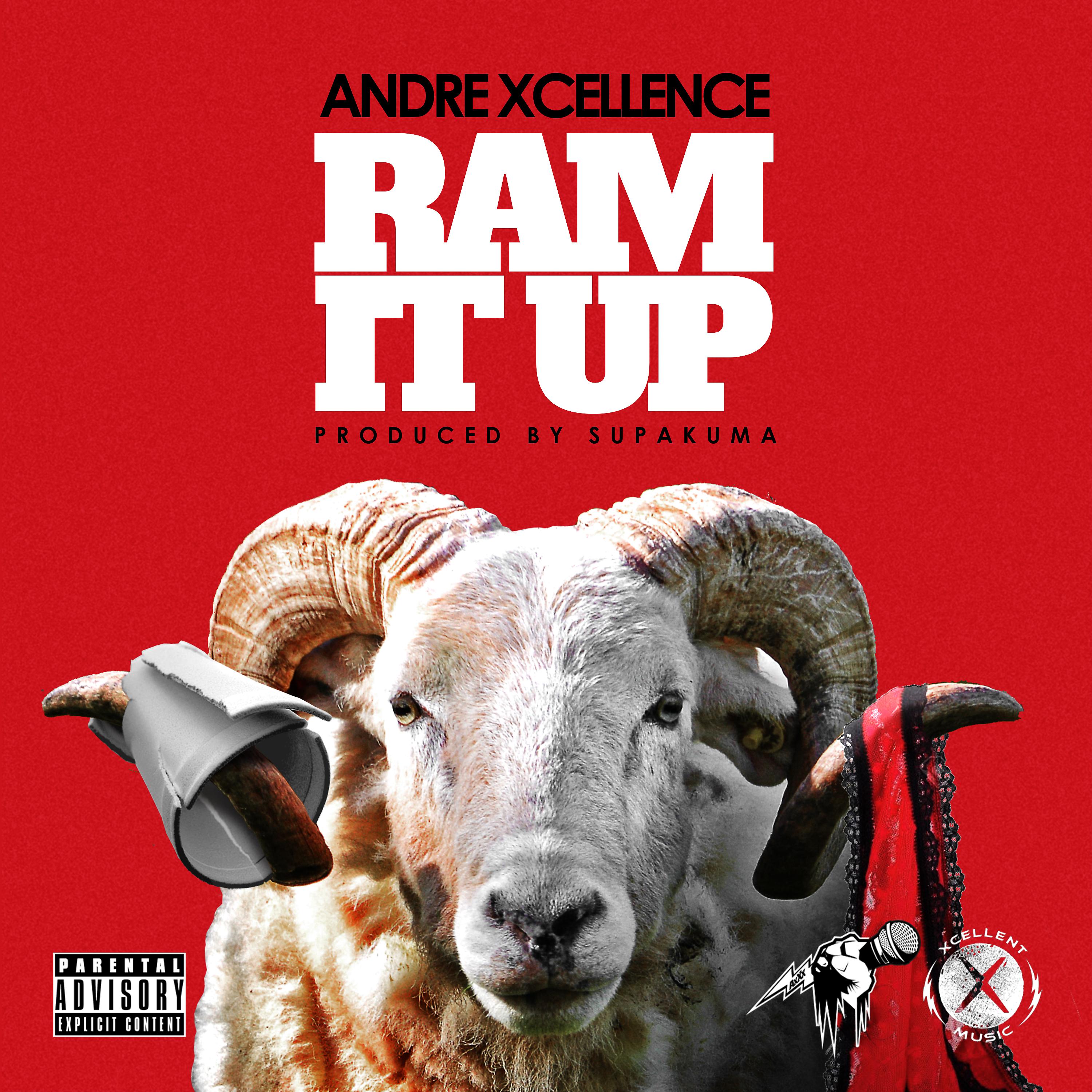 Постер альбома Ram It Up!