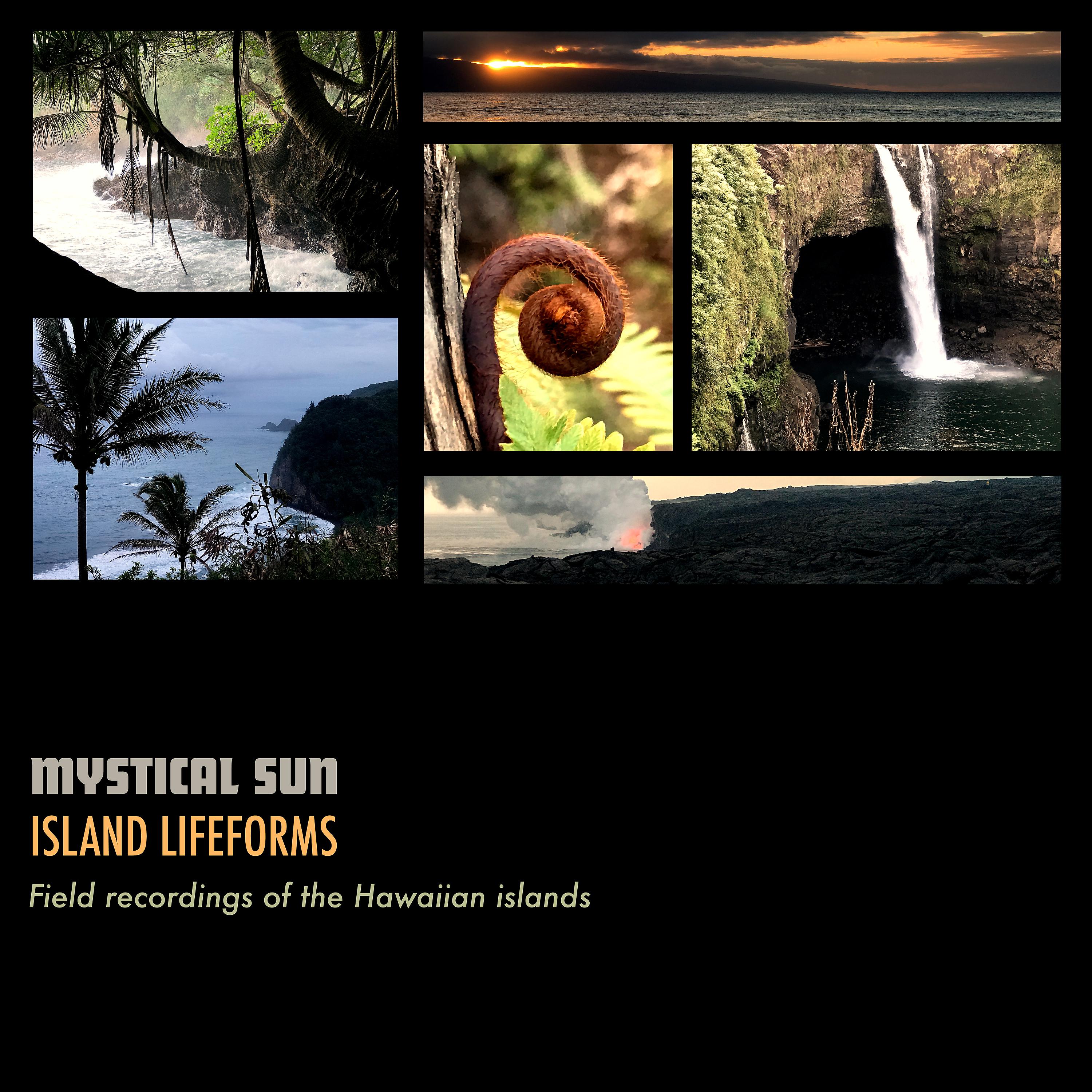 Постер альбома Island Lifeforms