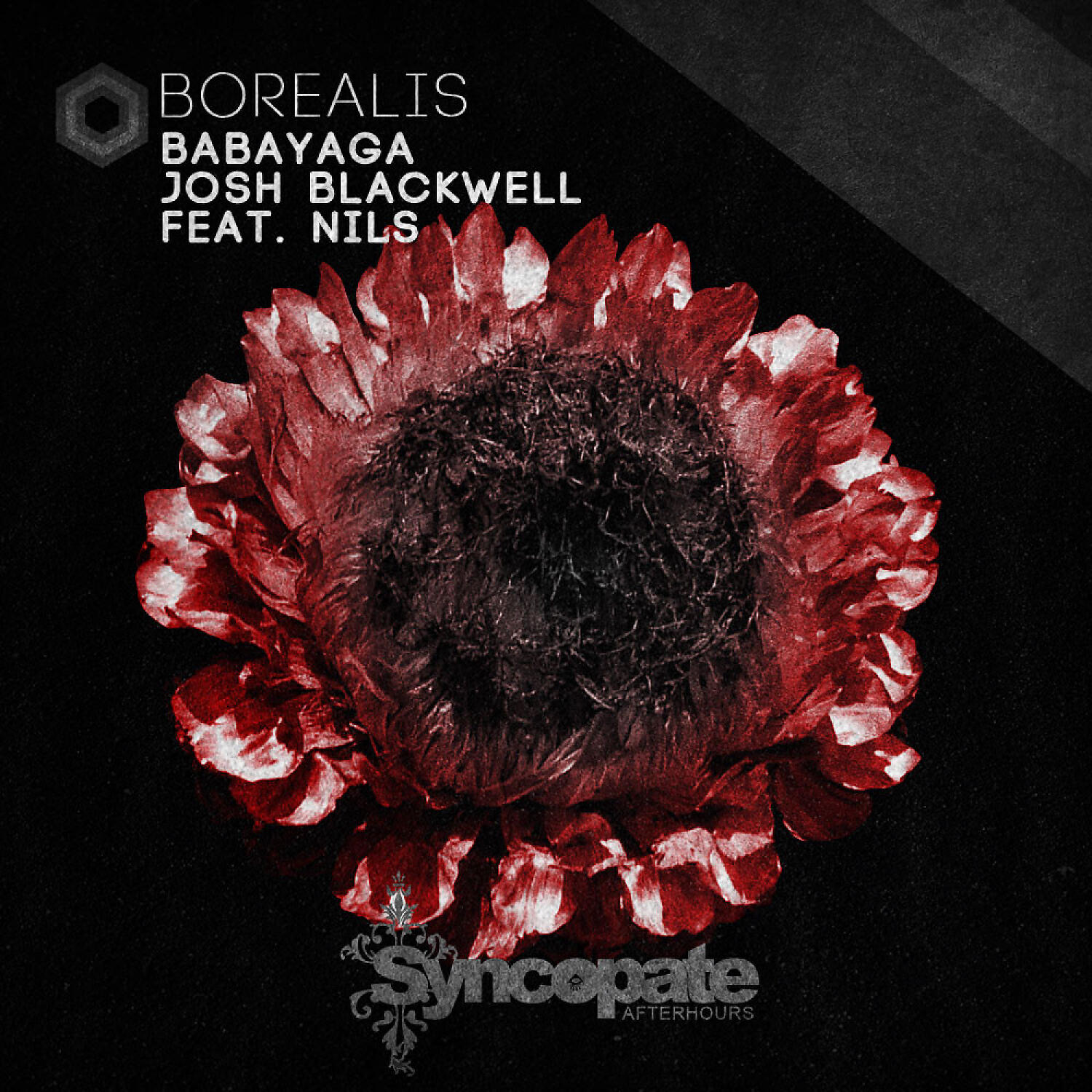 BabaYagA - Borealis (feat. Nils) (Intense Mix)