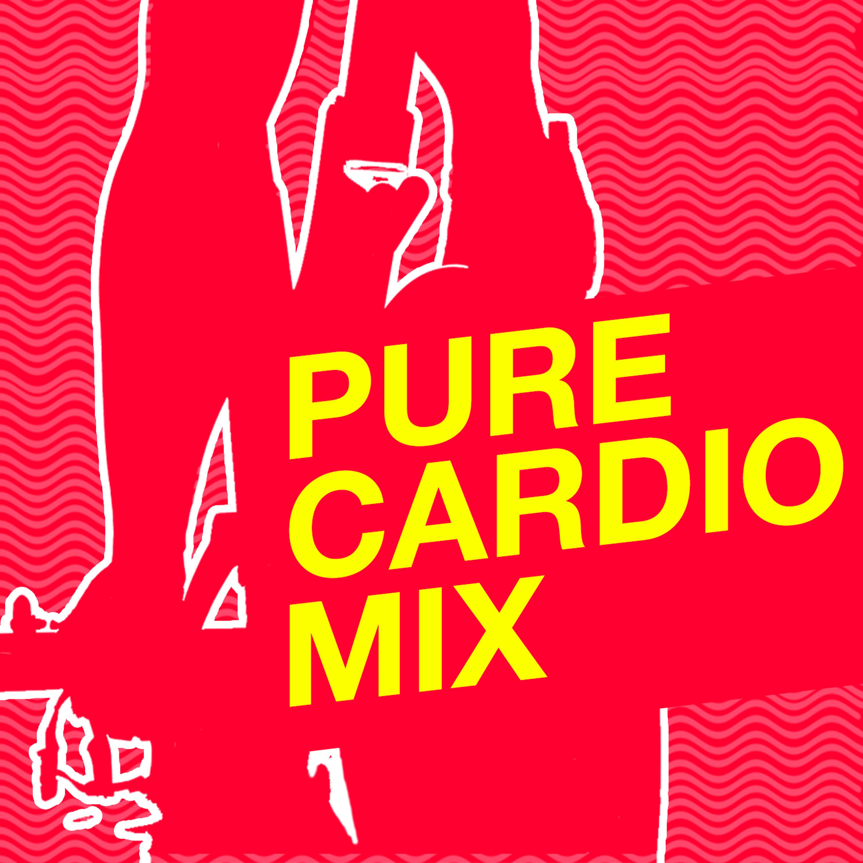 Постер альбома Pure Cardio Mix