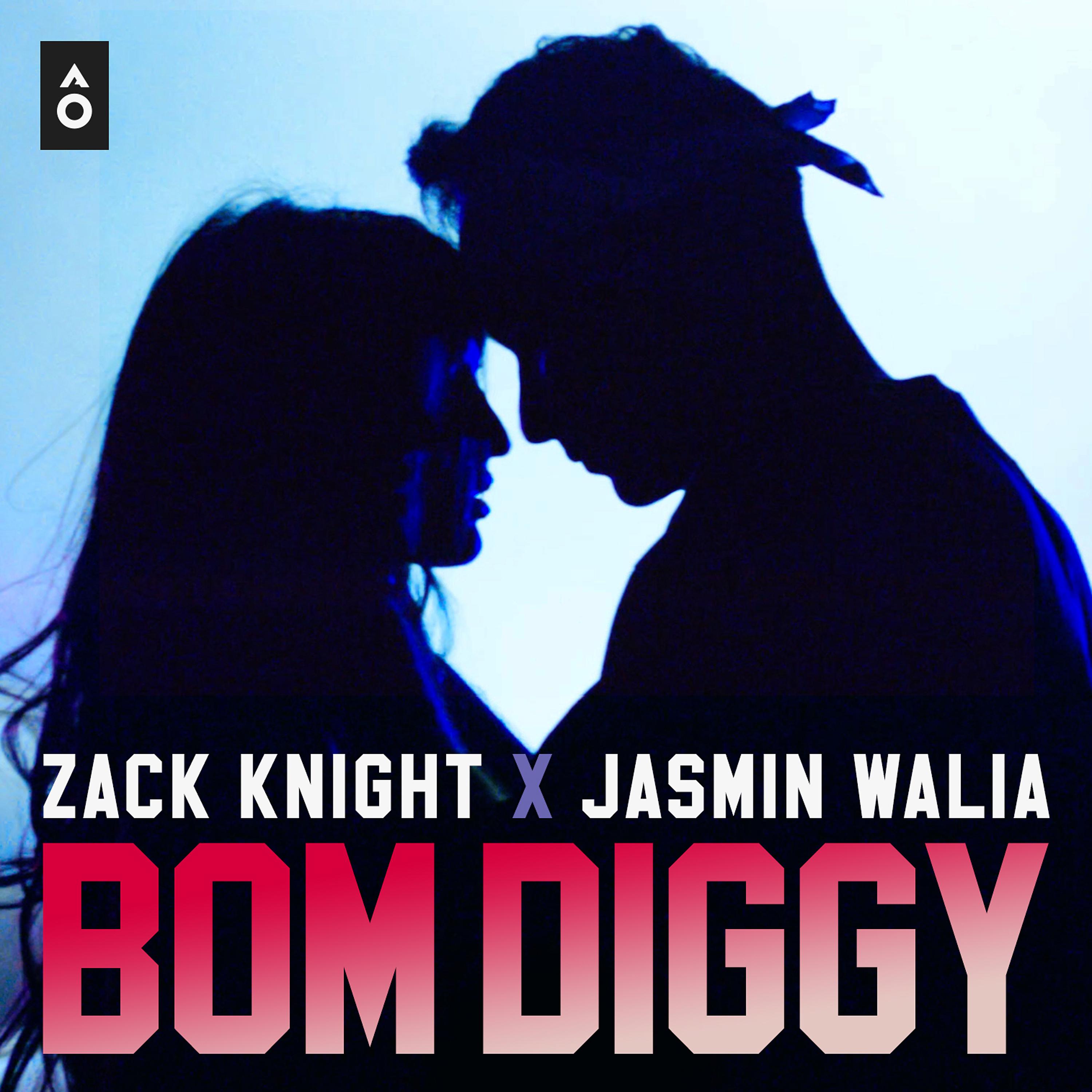Постер альбома Bom Diggy - Single
