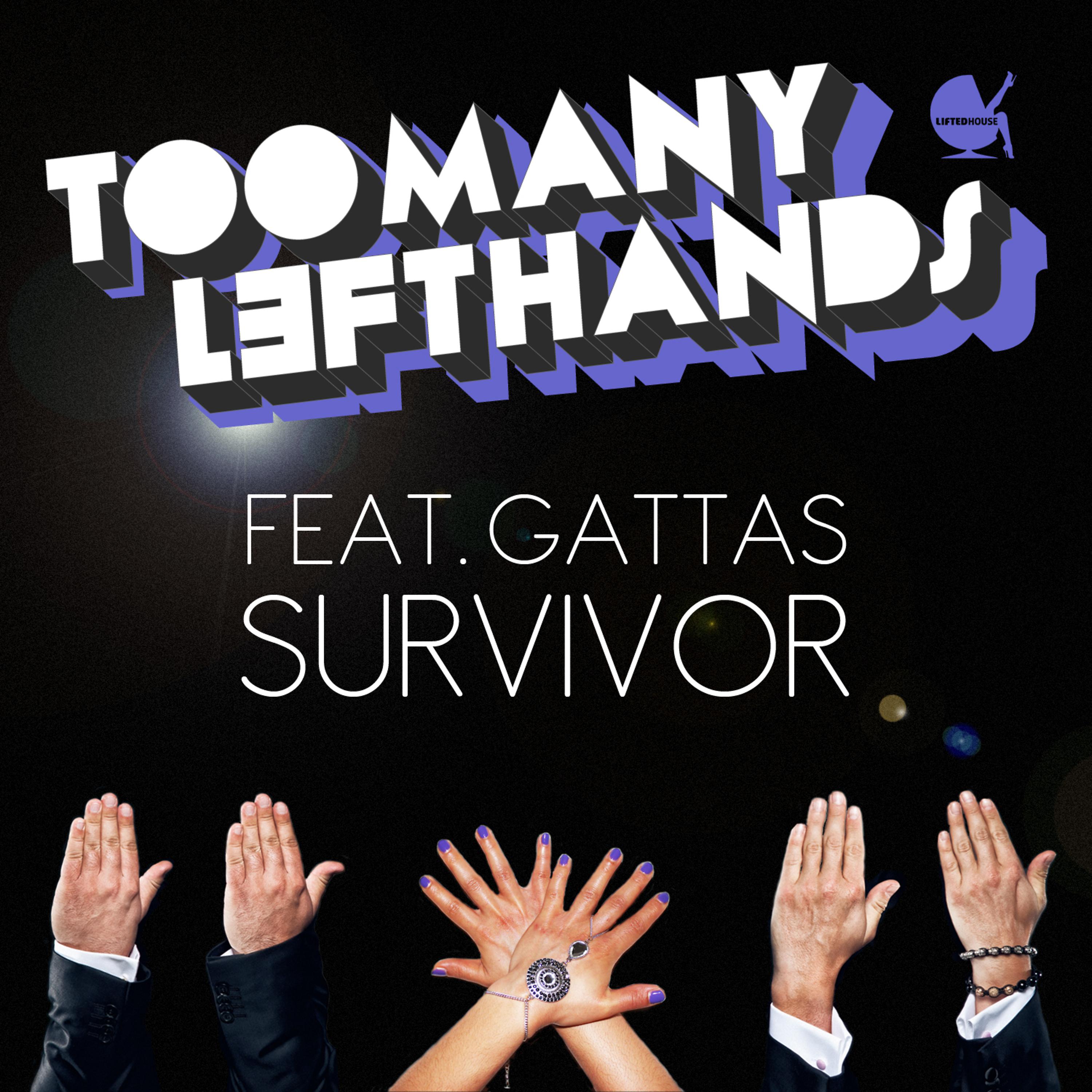 Постер альбома Survivor (feat. Gattas)