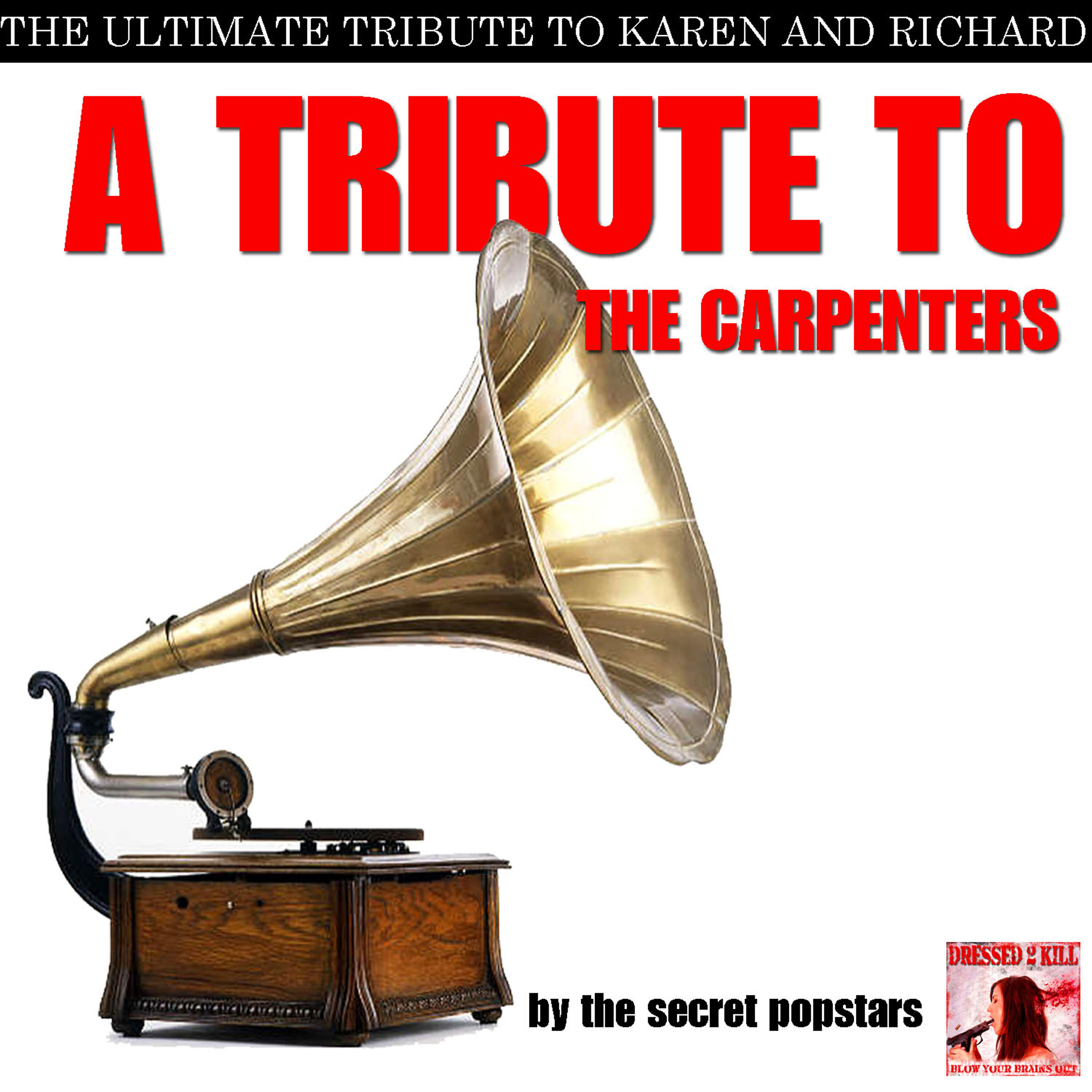 Secret Popstars - Hurtin Each Other