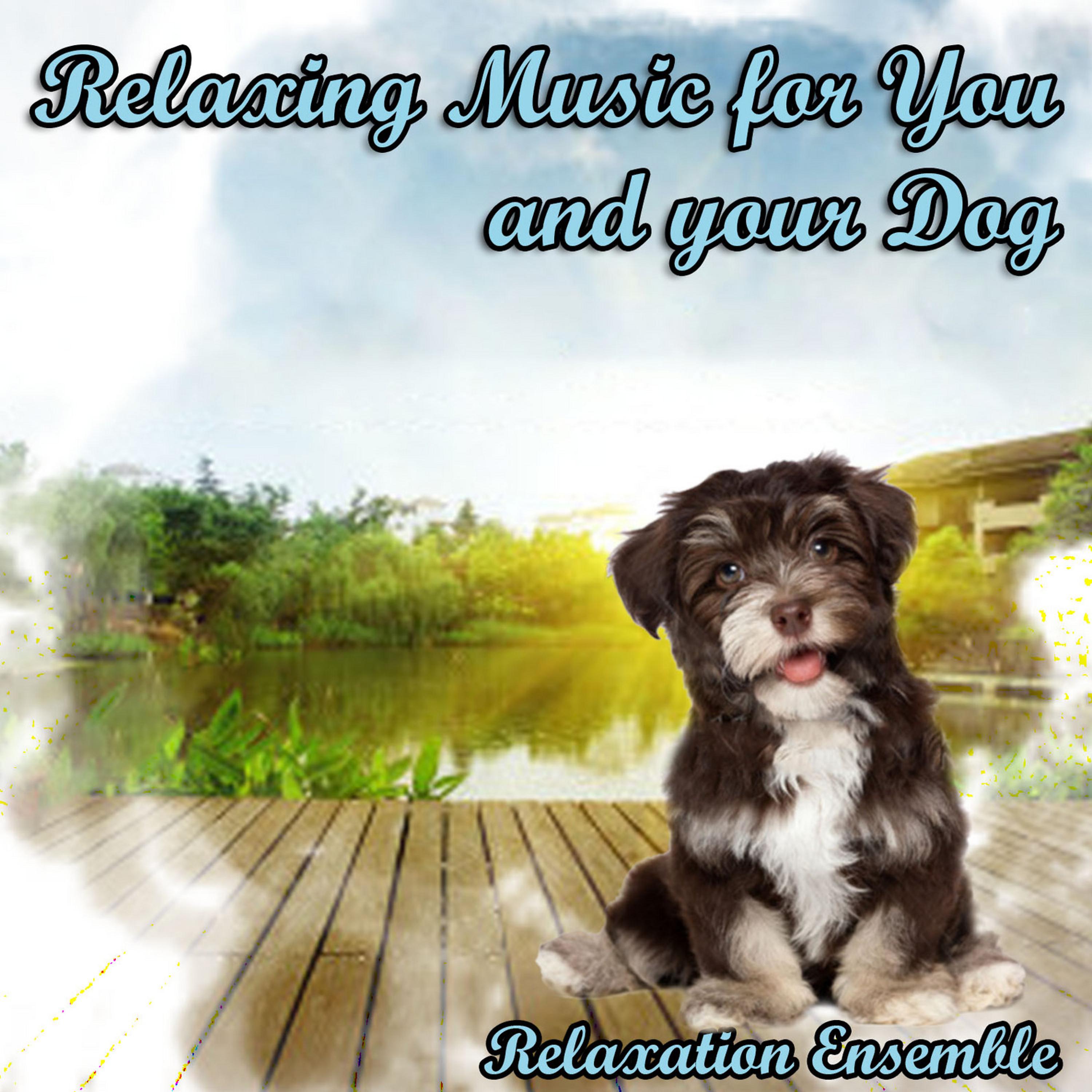 Постер альбома Relaxing Music for You and Your Dog