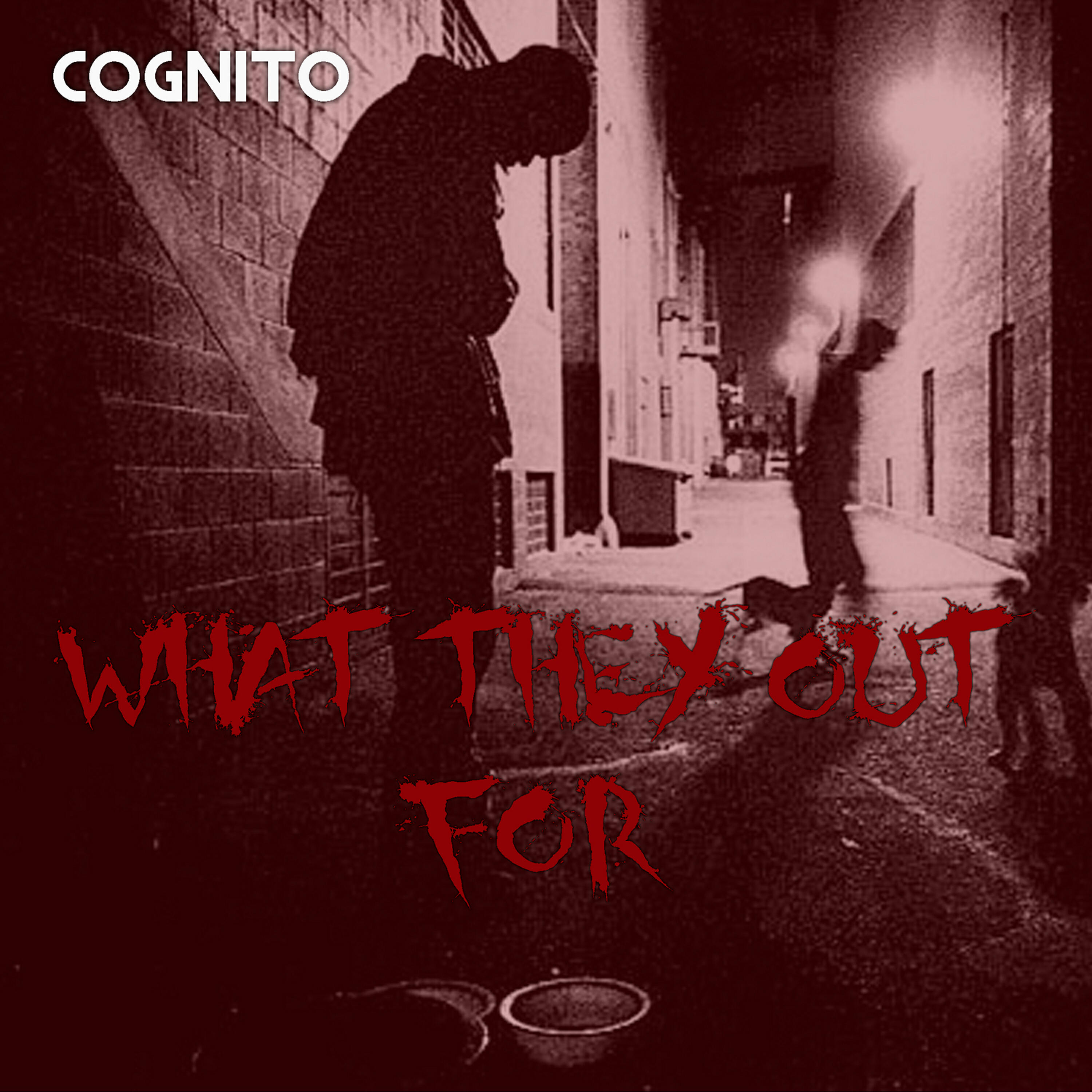 Cognito - What They Out For