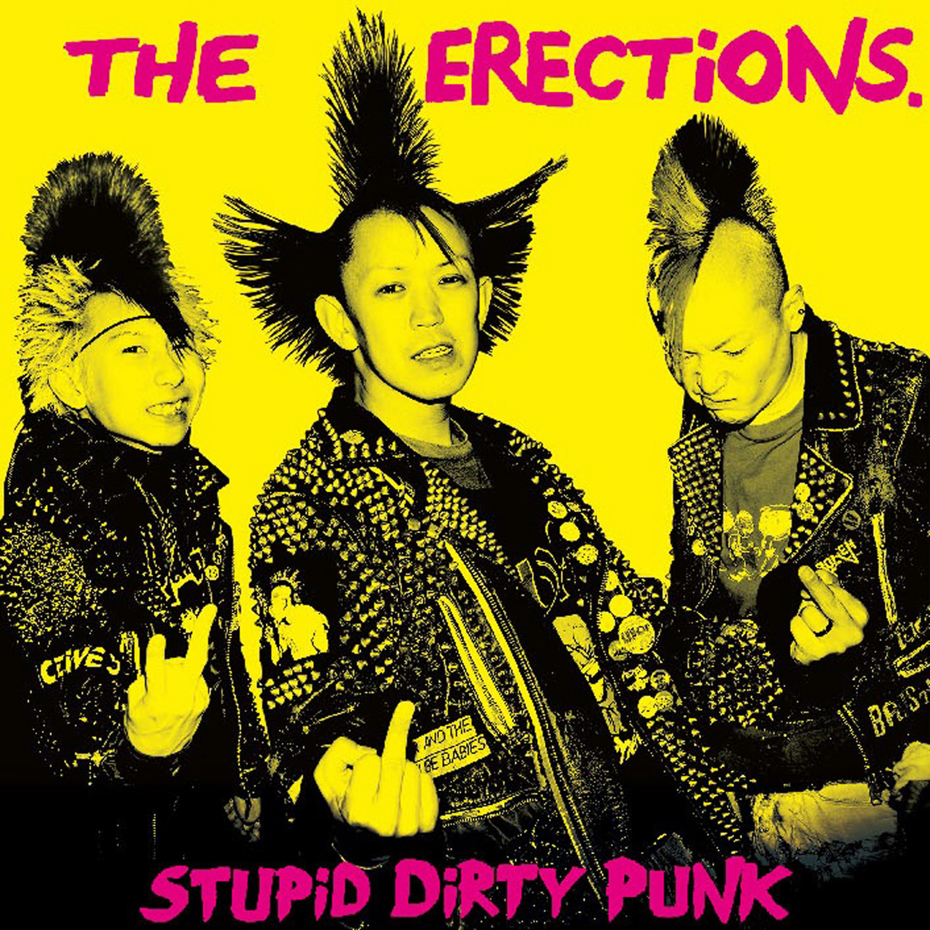 Постер альбома Stupid Dirty Punk