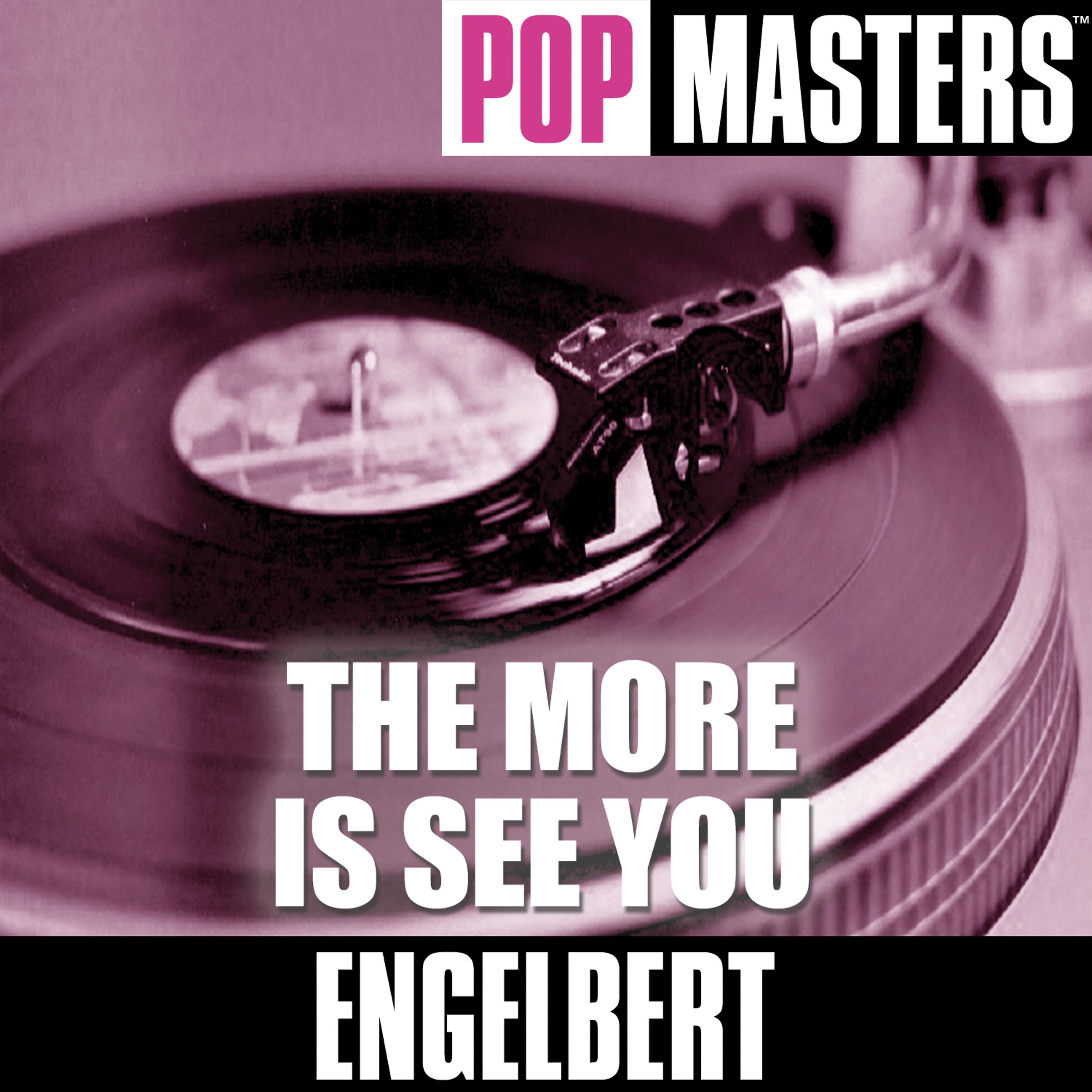 Постер альбома Pop Masters: The More Is See You