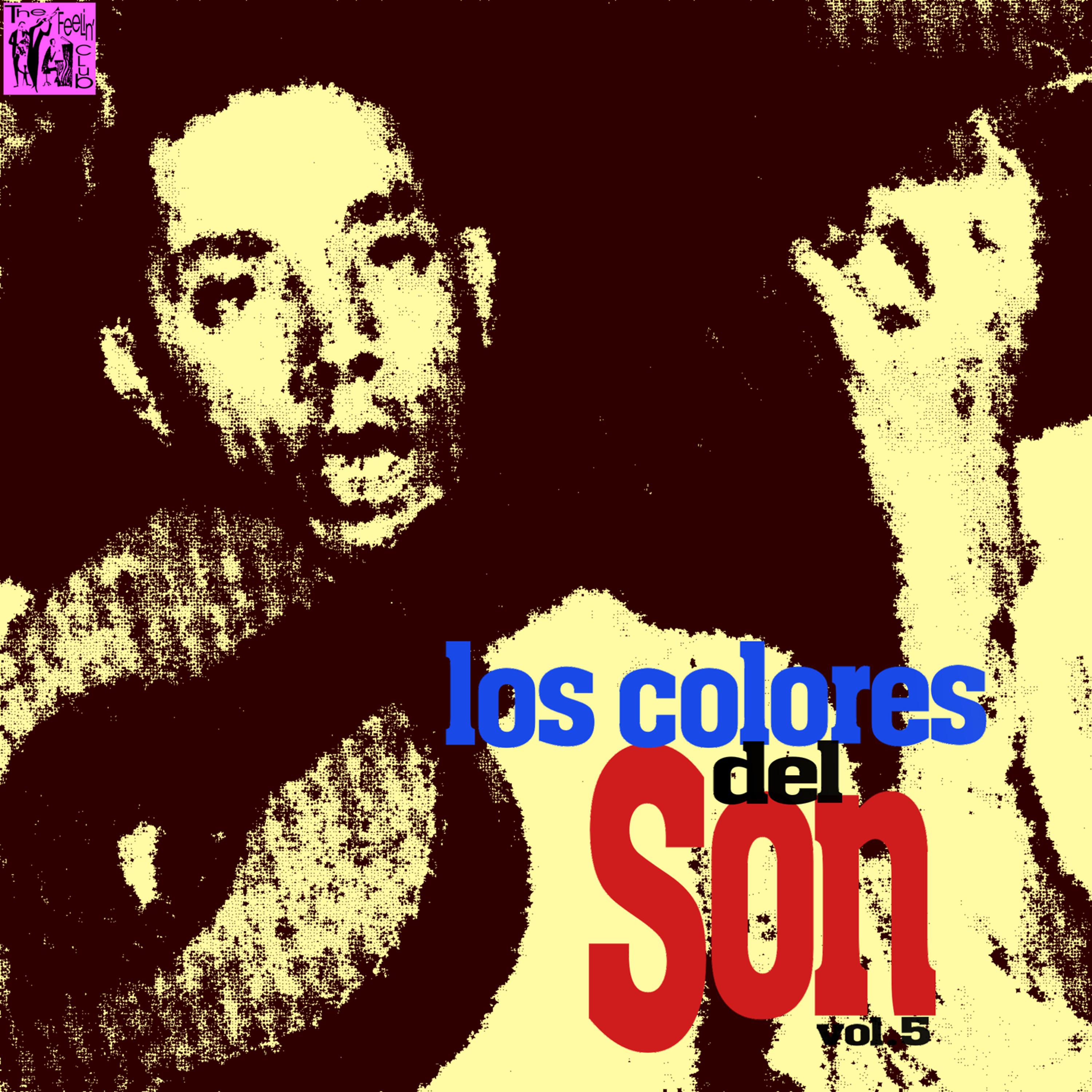 Постер альбома Los Colores del Son, Vol.5
