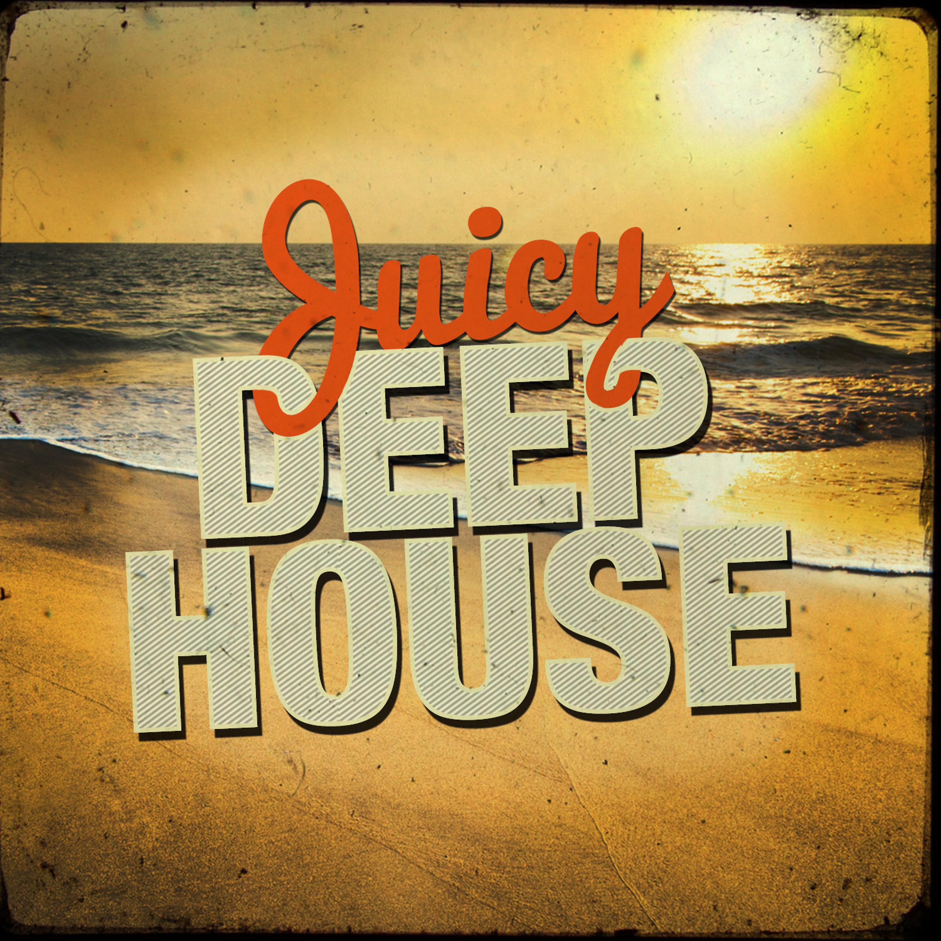 Постер альбома Juicy Deep House
