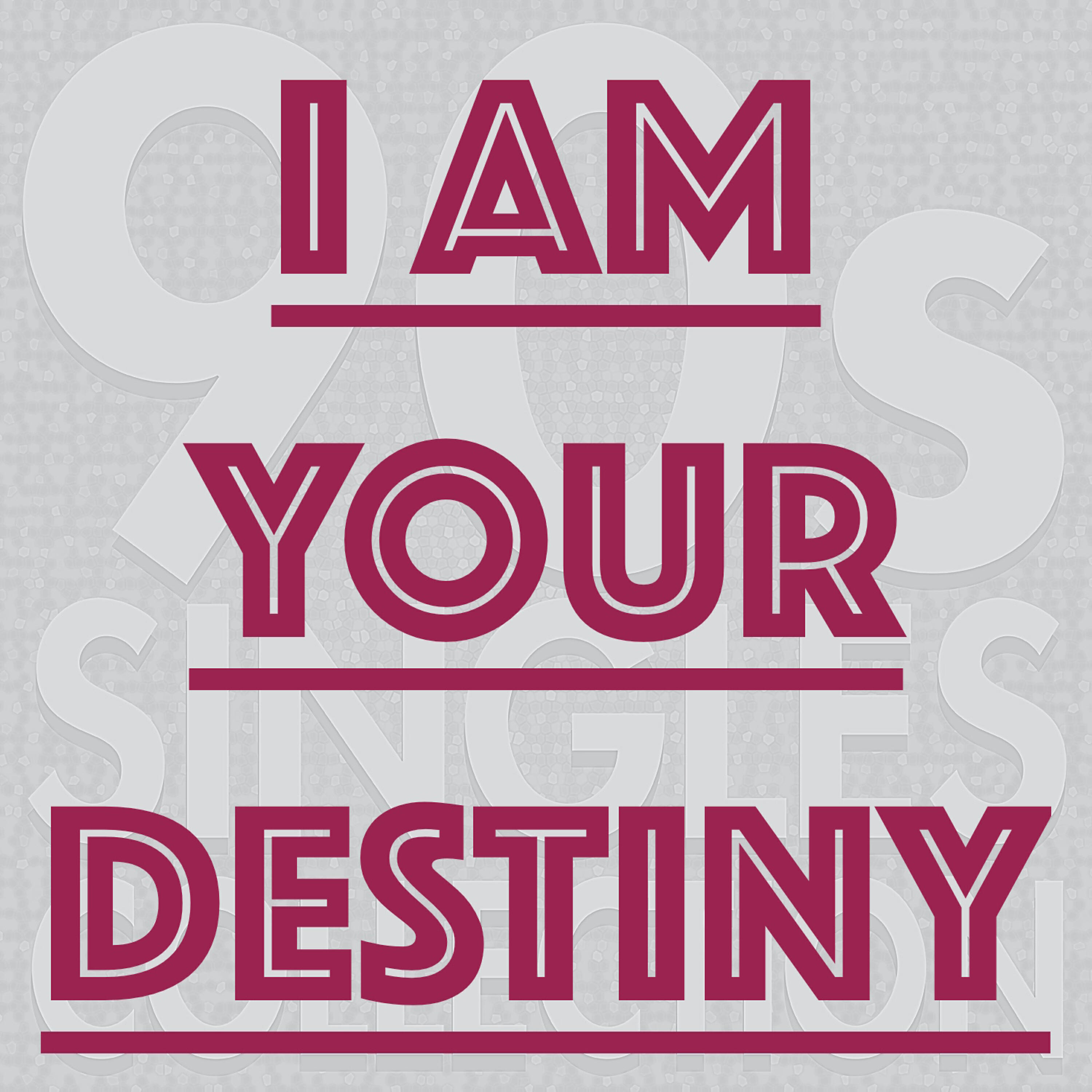 90s Singles Collection - I Am Your Destiny