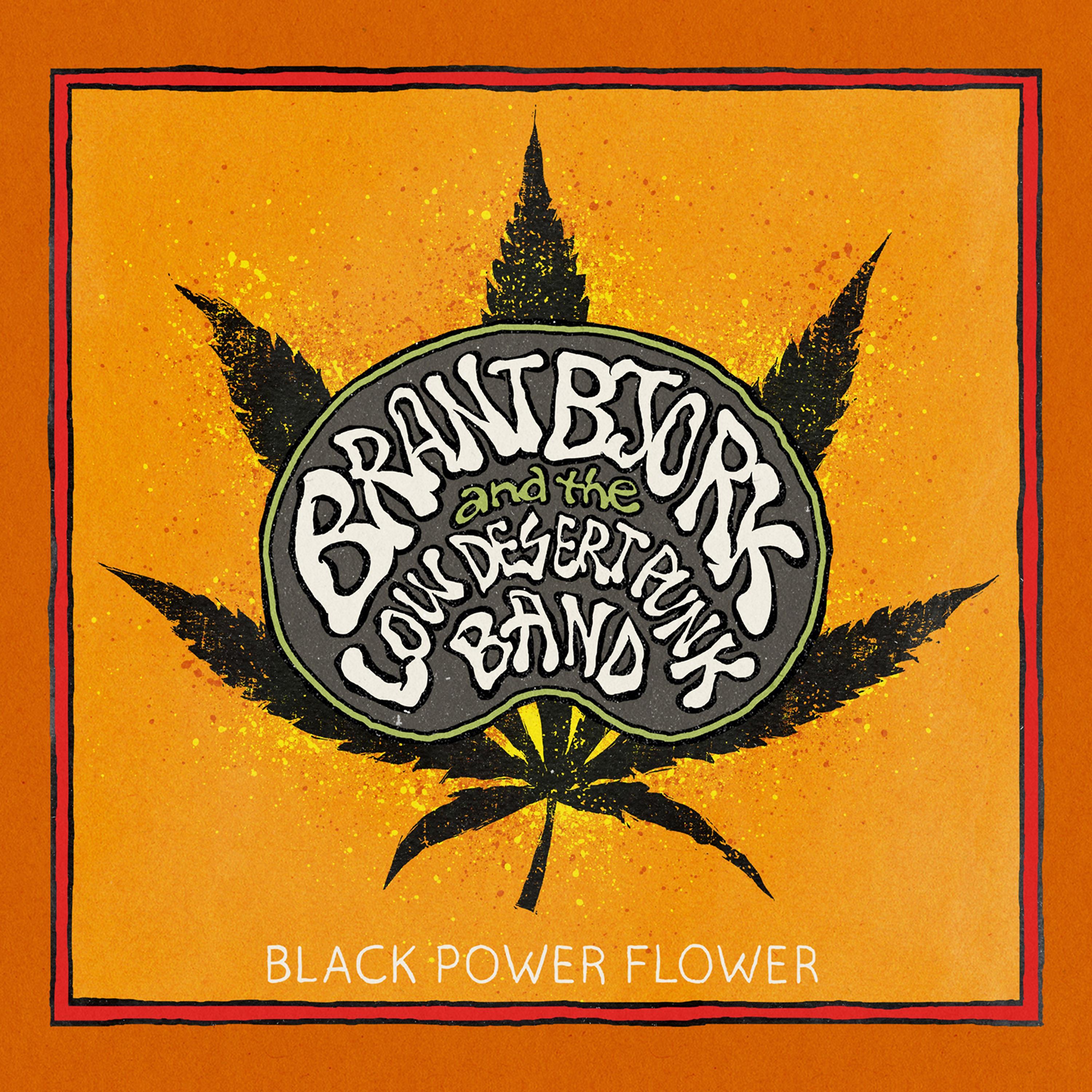 Постер альбома Black Power Flower