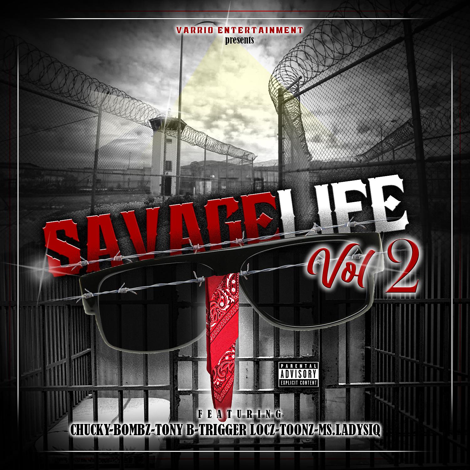 Постер альбома SavageLife, Vol. 2