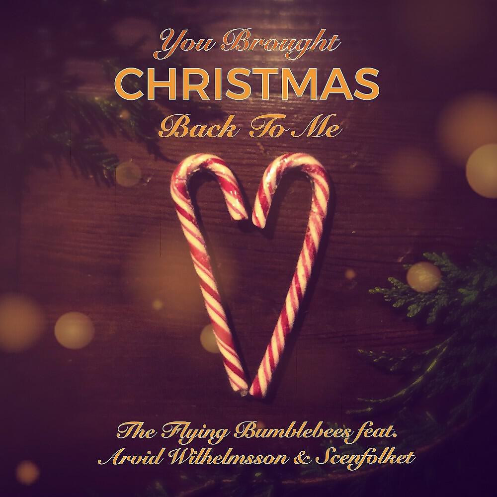 The Flying Bumblebees - You Brought Christmas Back to Me