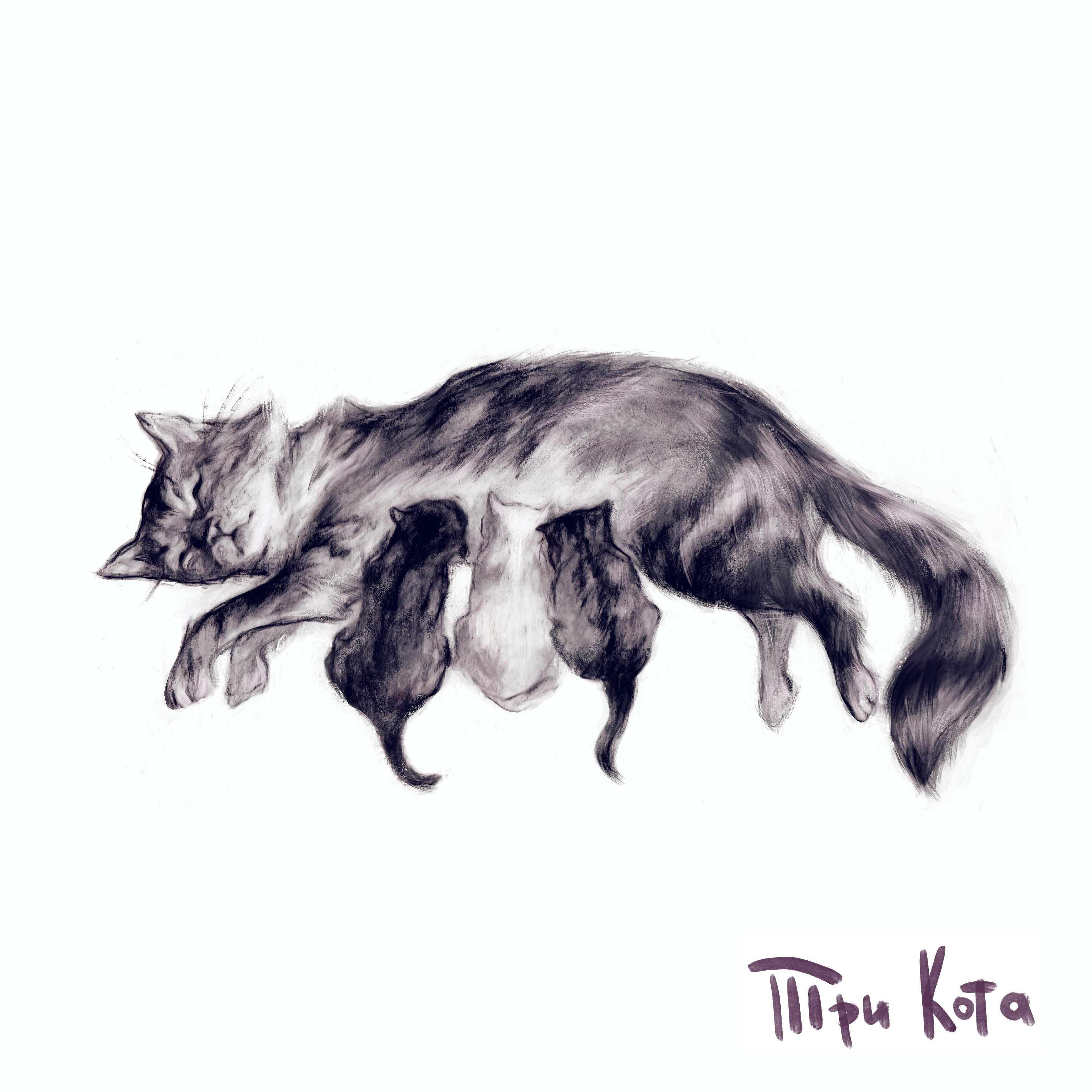 Постер альбома Три кота