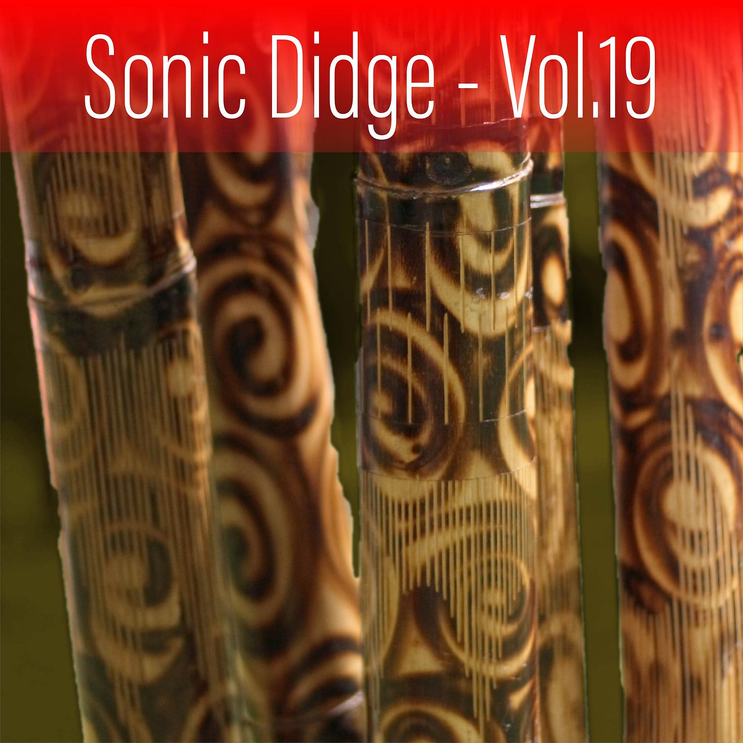 Постер альбома Sonic Didge, Vol. 19