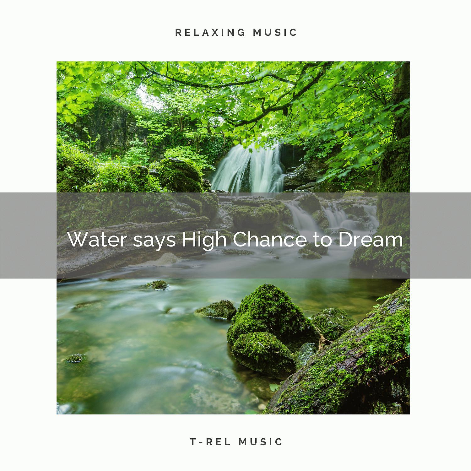 Постер альбома Water says High Chance to Dream