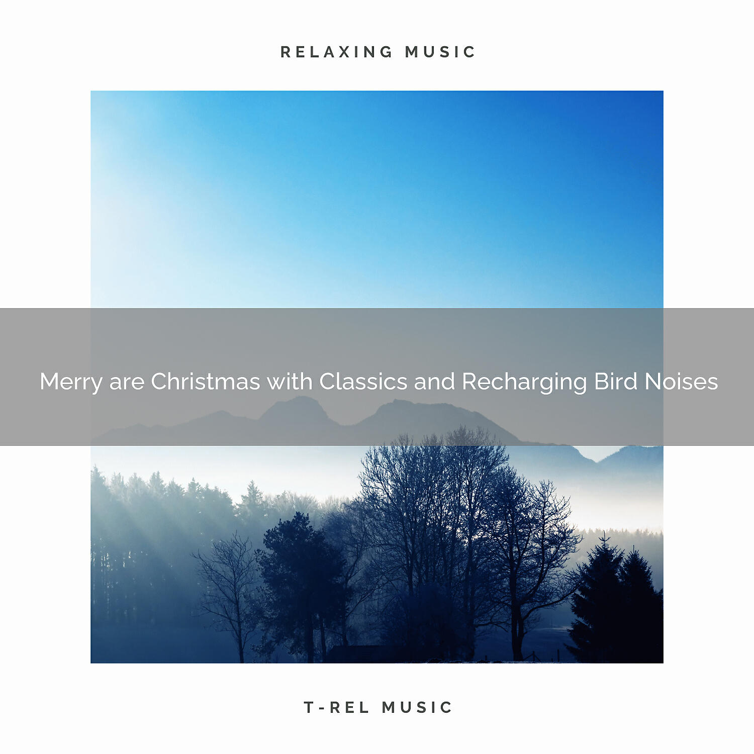 Sounds Of Nature Relaxation - Merry are Christmas with Carols and Relaxing Bird Songs