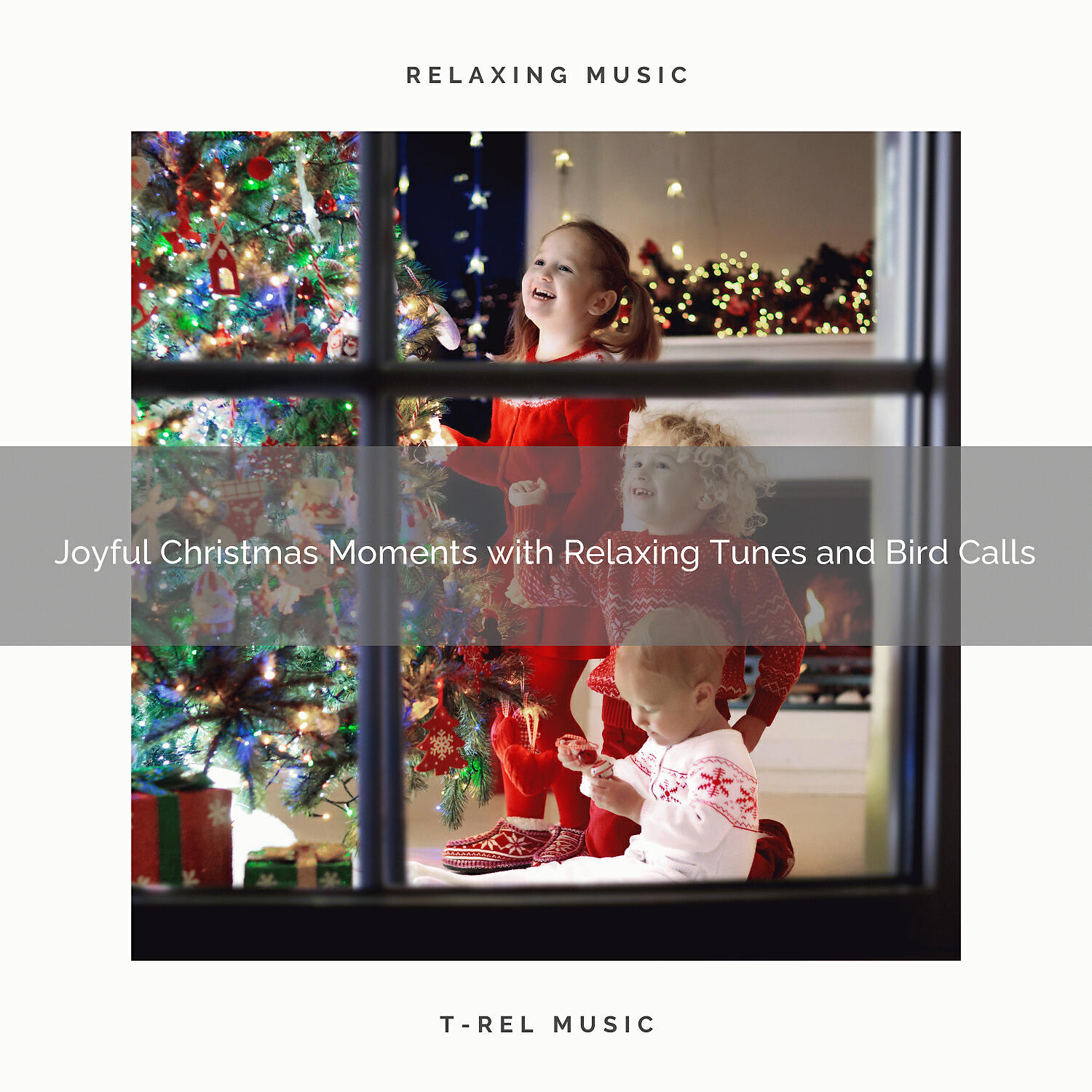 Relaxing Music Therapy - Enjoy Christmas Time with Top Tunes and Bird Calls