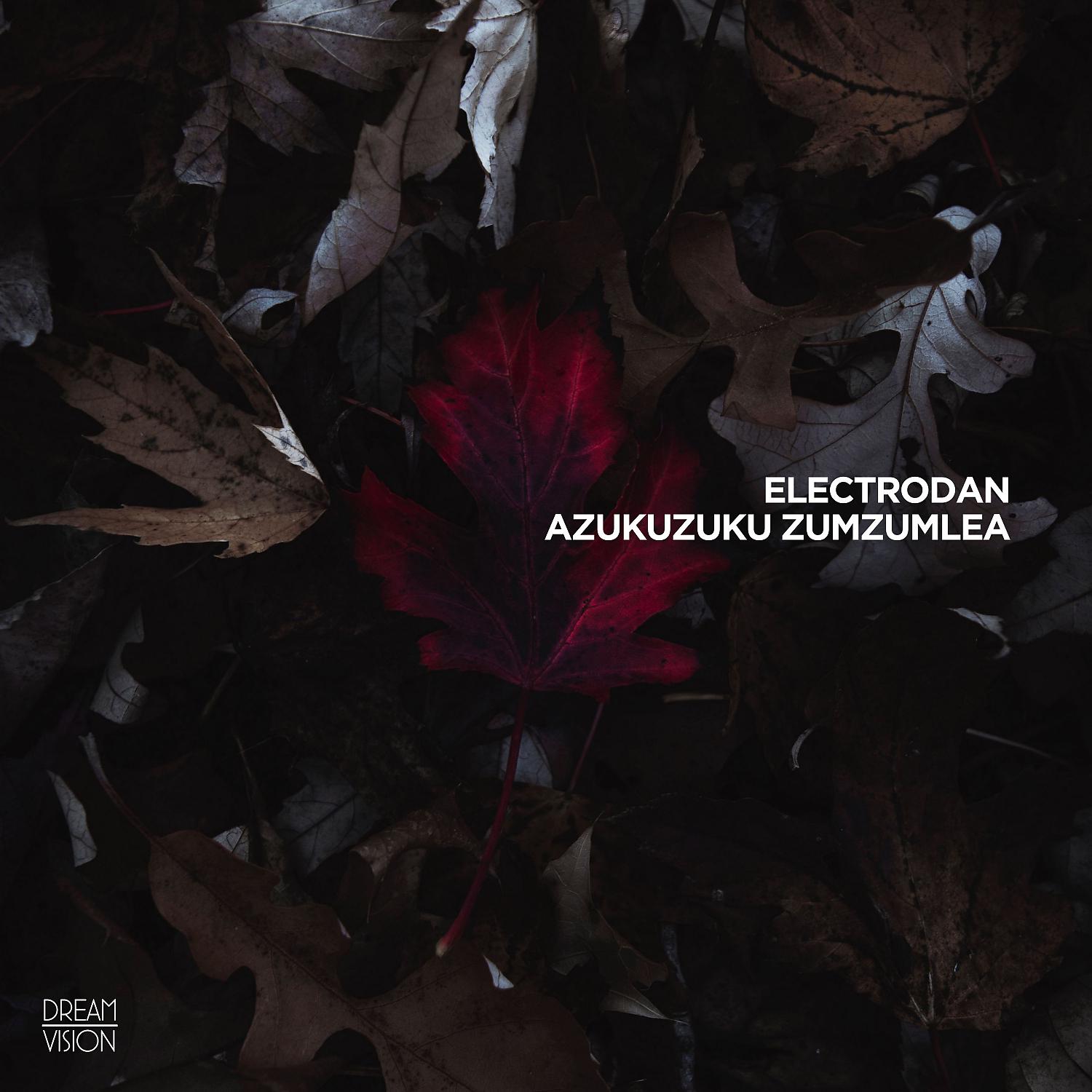Постер альбома Azukuzuku Zumzumlea
