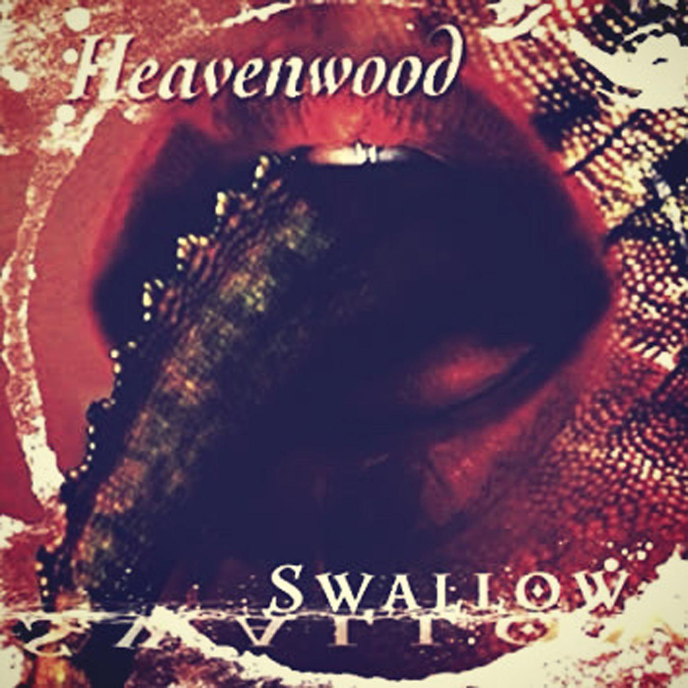 Постер альбома Swallow