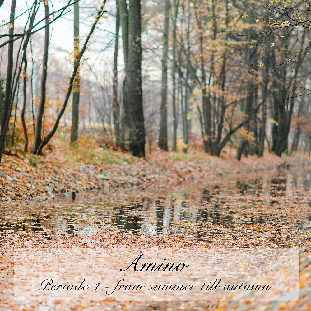 Amino - Spring Dream