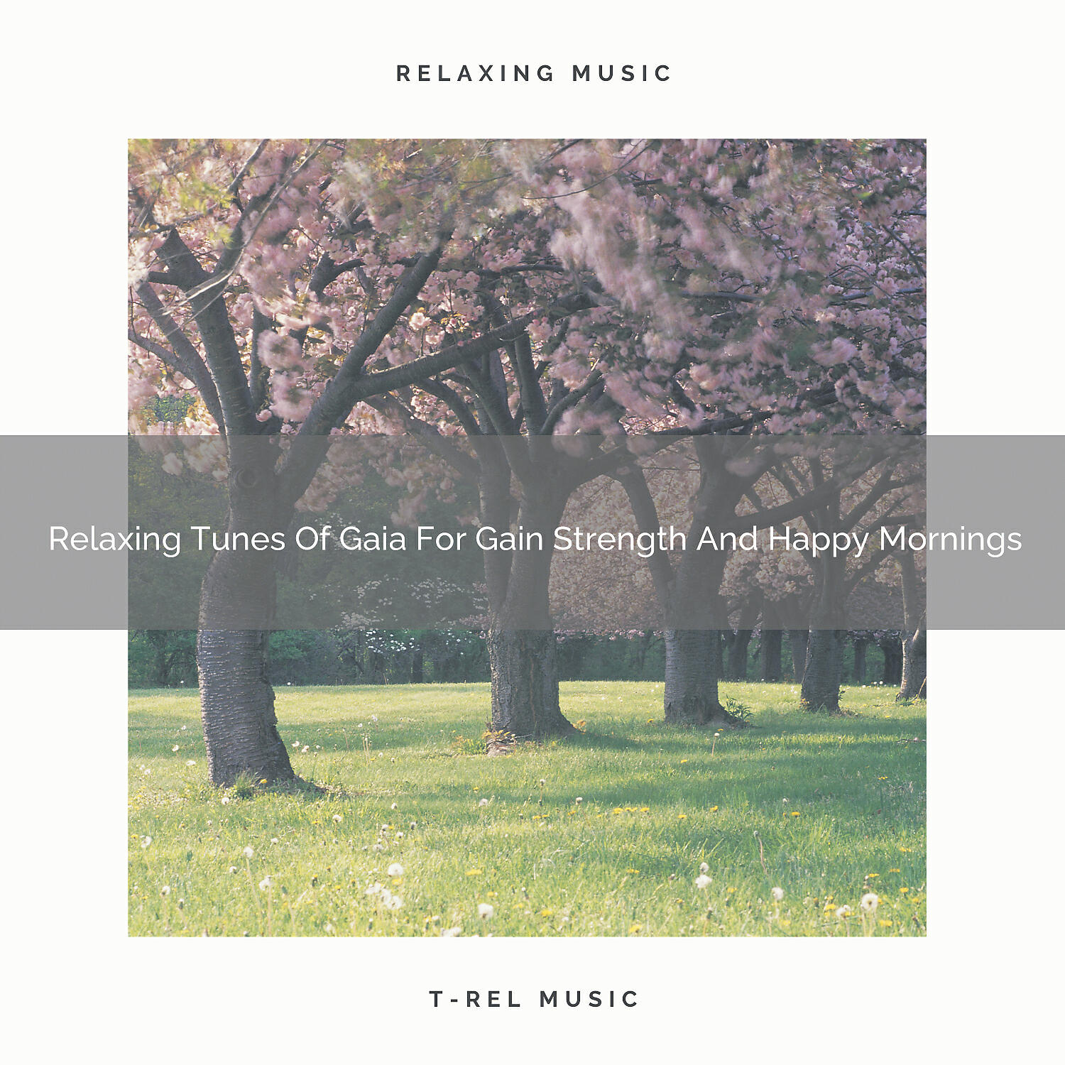 Weather - Gentle Noises Of Gaia For Recharge And Return