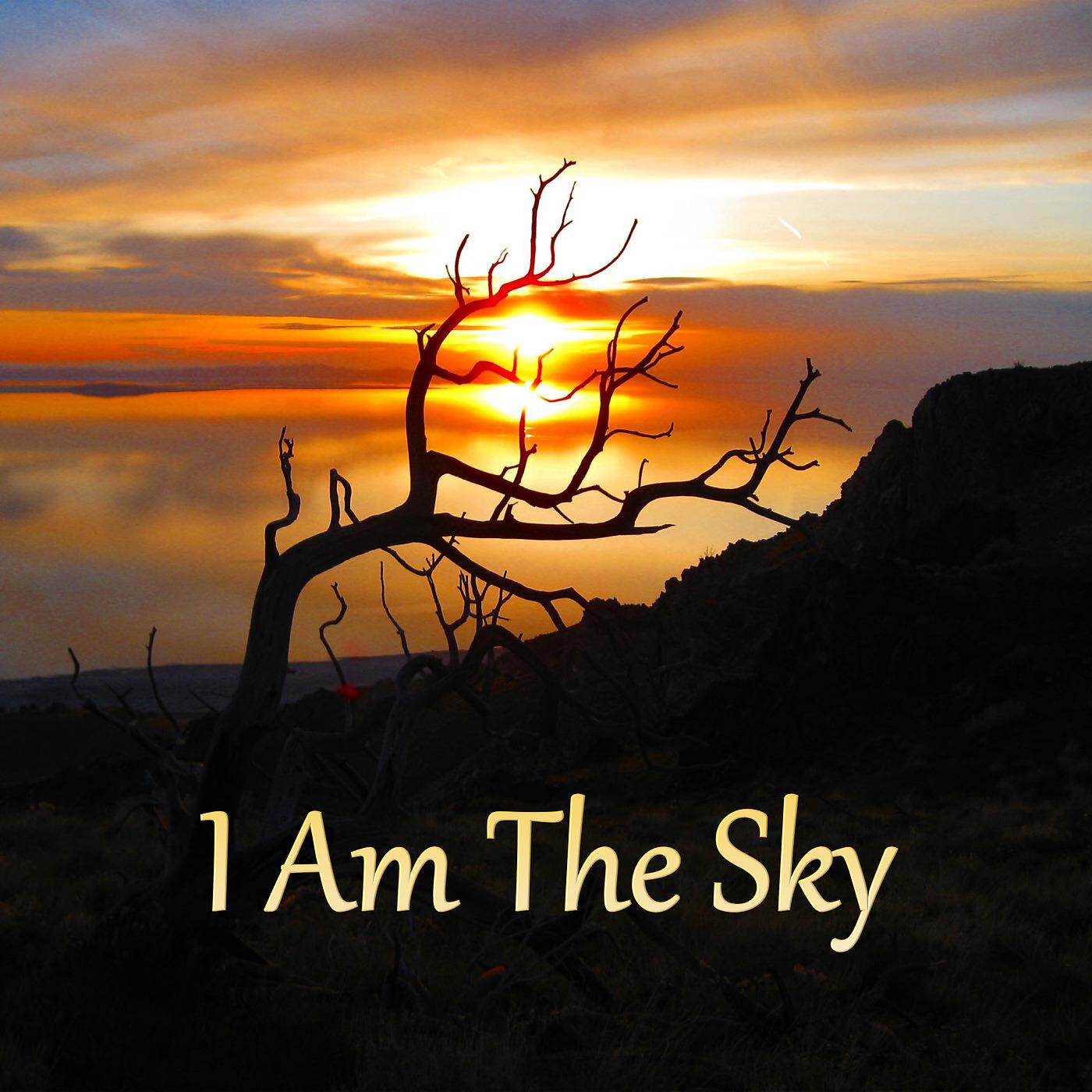 Постер альбома I Am the Sky