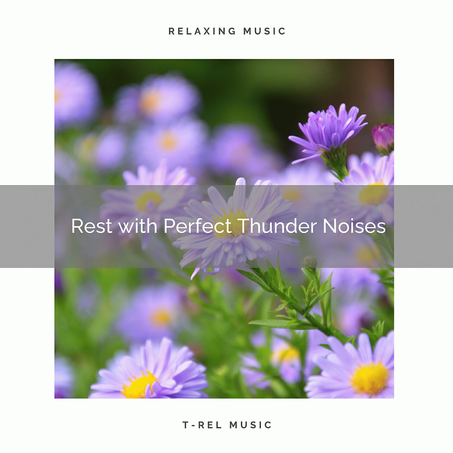 Heavy Rain Sounds - Rain and Woods Tunes for Deep Sleep