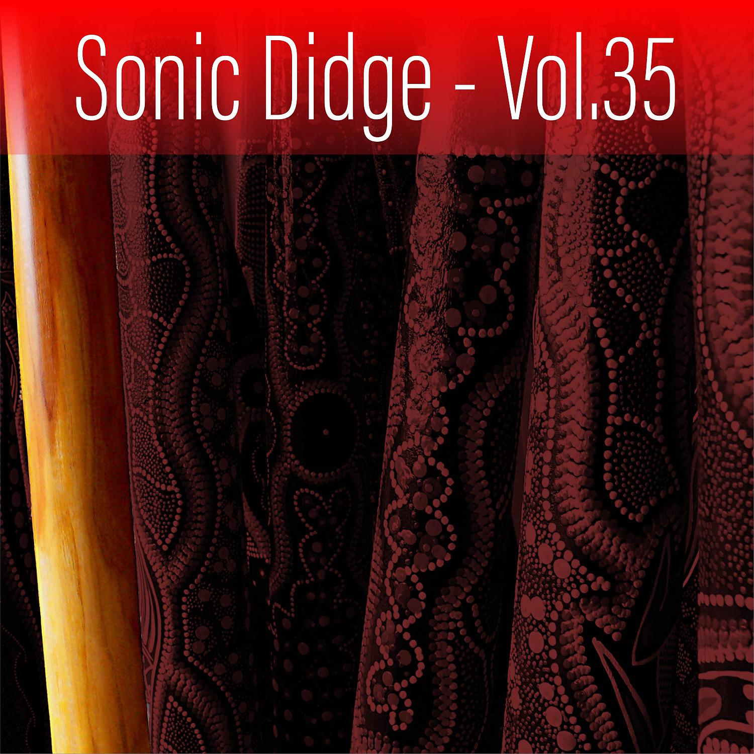 Постер альбома Sonic Didge, Vol. 35
