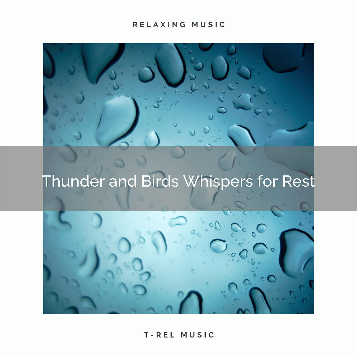 Relax Rain - Rain and Forest Music for Deep Sleep