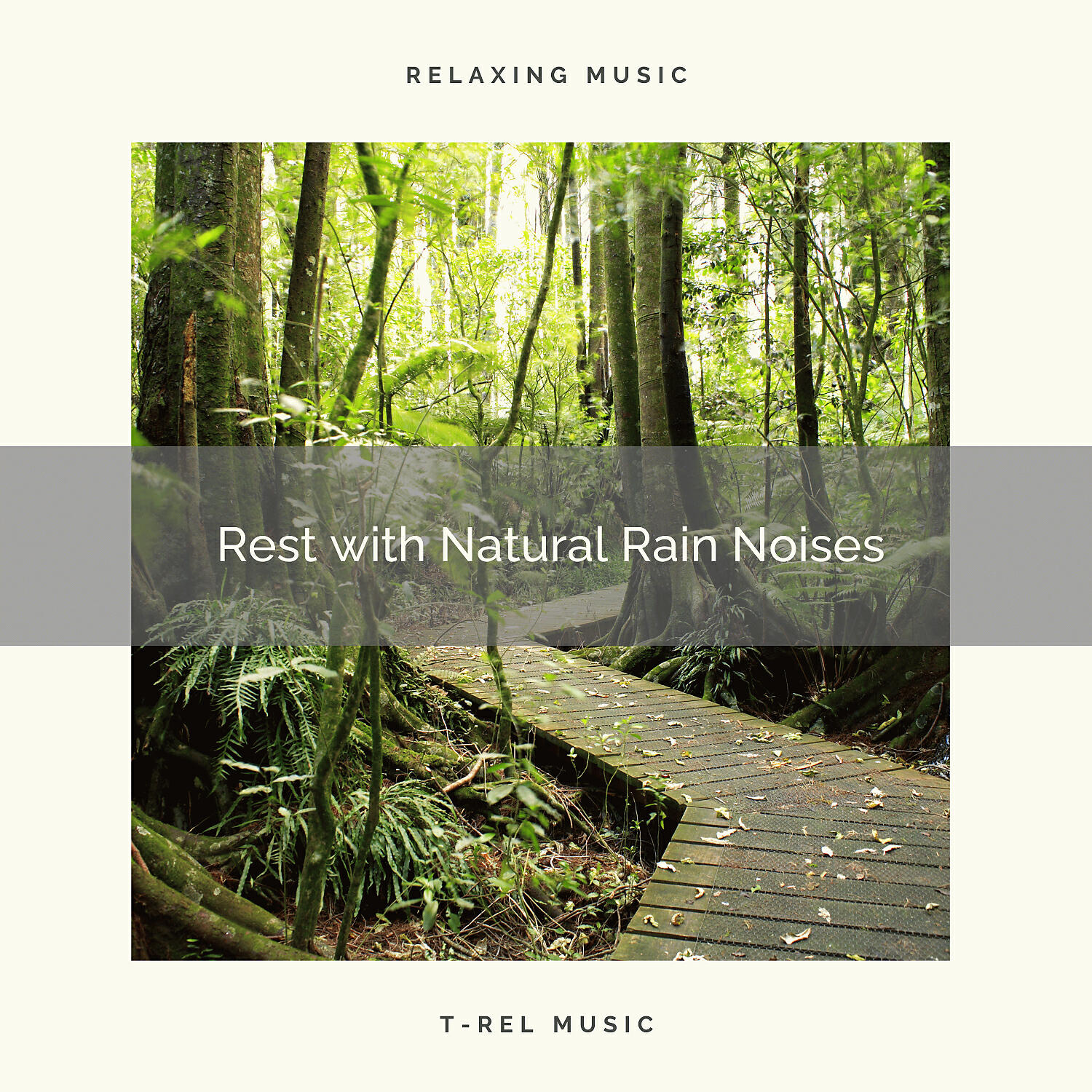 Calm Sleep Rain Sound - Rain and Forest Whispers for Perfect Sleep
