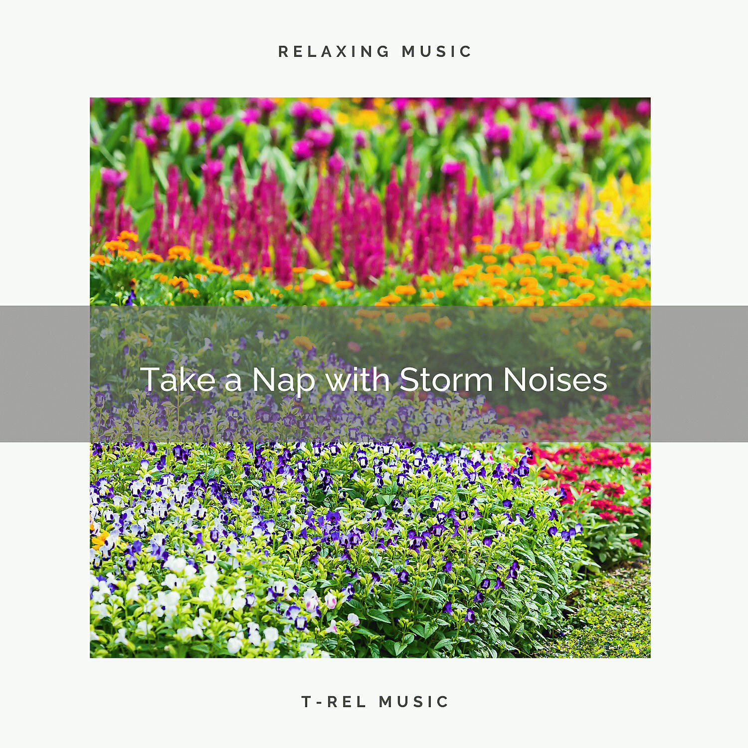 Sleep Nature Rain Sound - Storm and Birds Tunes for Deep Sleep