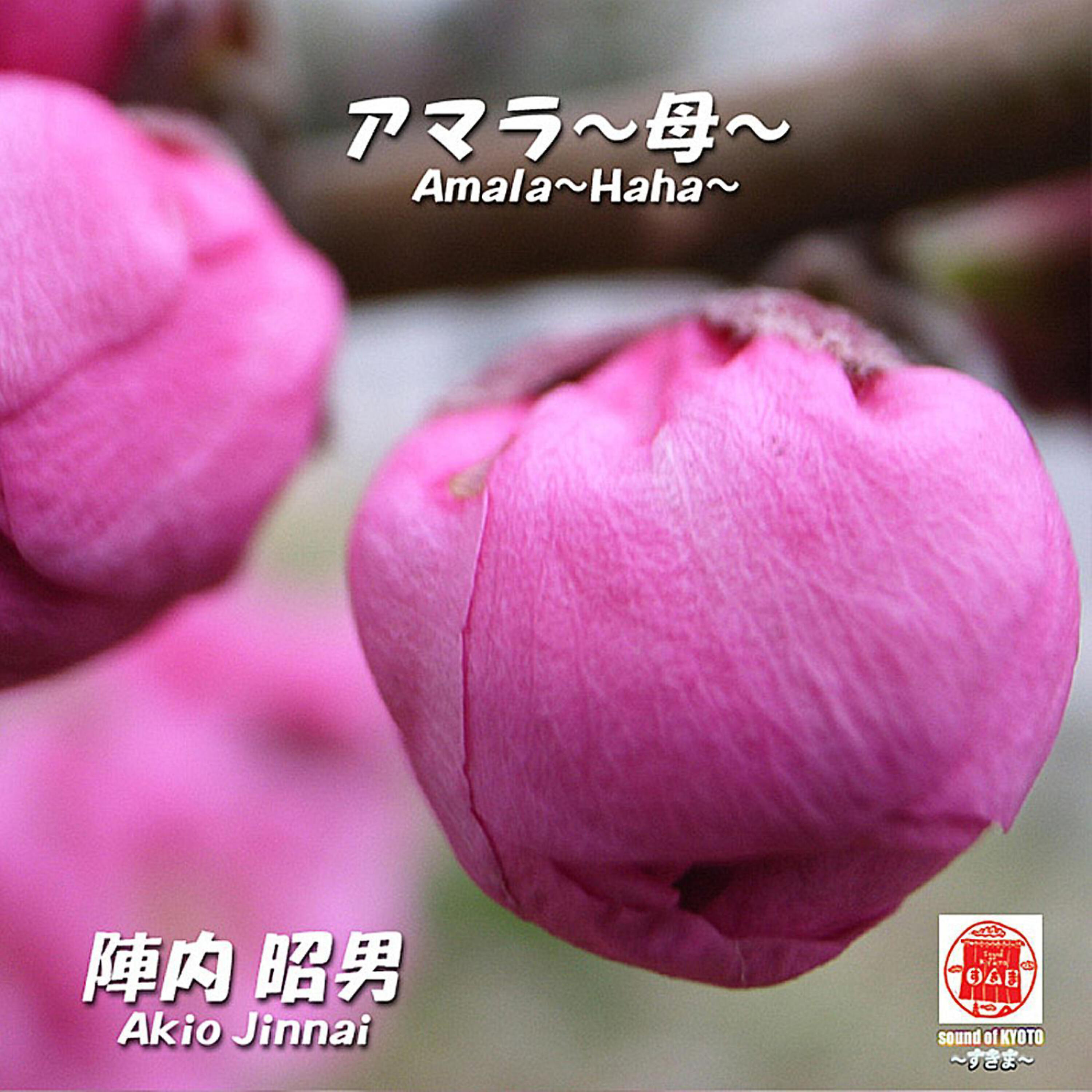 Akio Jinnai - Amala-Haha-