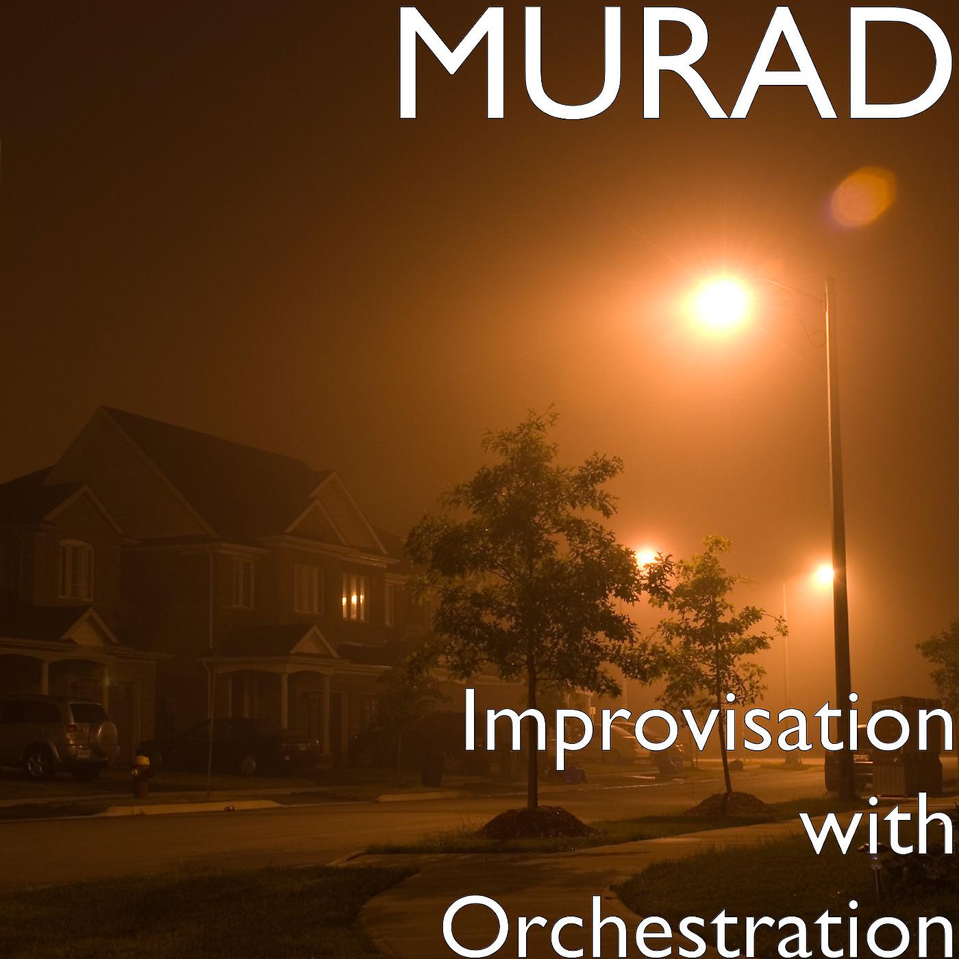 Постер альбома Improvisation with Orchestration