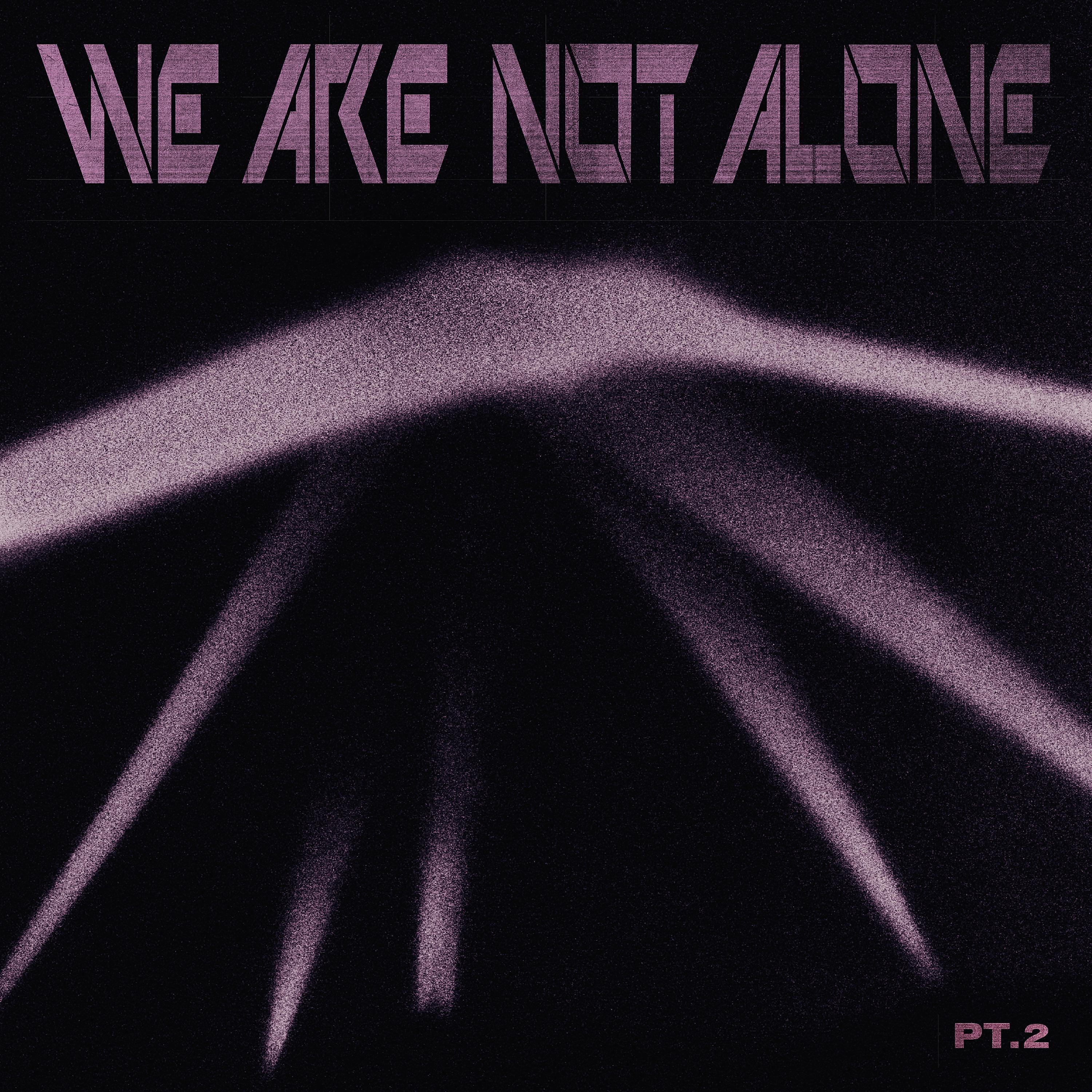 Постер альбома Ellen Allien Presents We Are Not Alone, Pt. 2