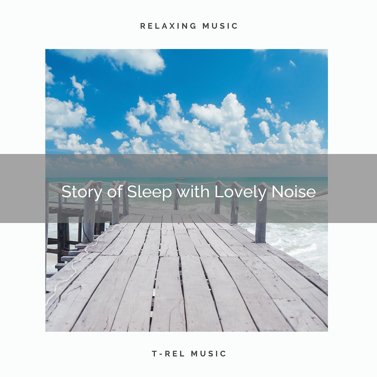 Постер альбома Story of Sleep with Lovely Noise