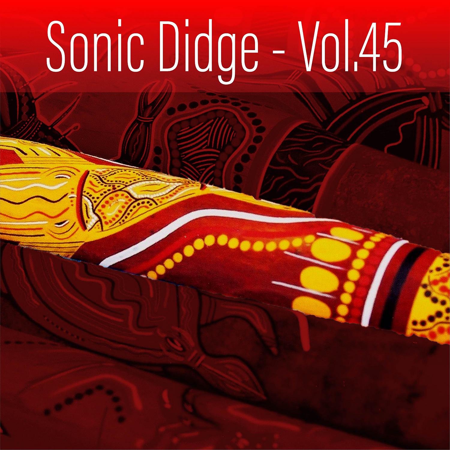 Постер альбома Sonic Didge, Vol. 45