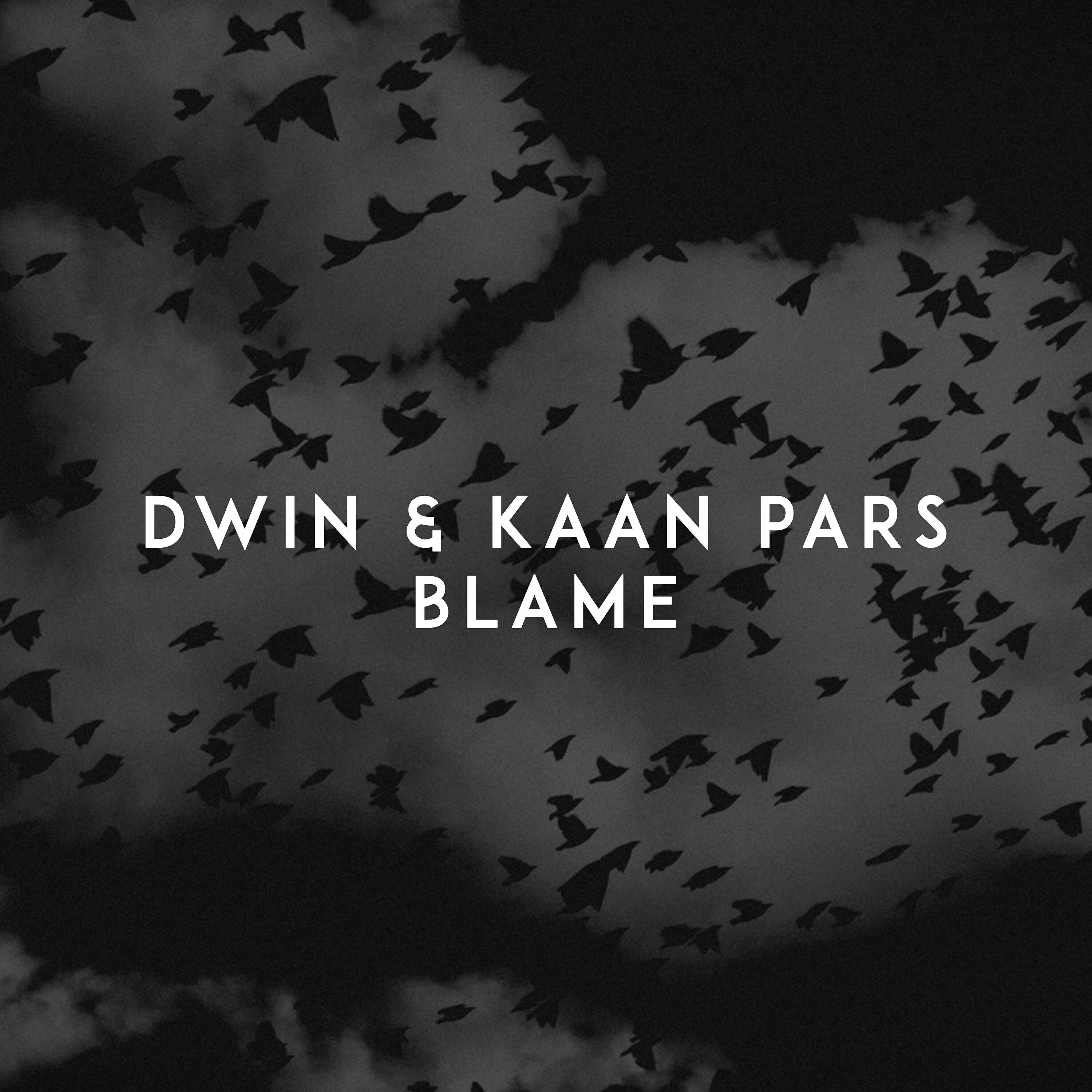 Dwin - Blame