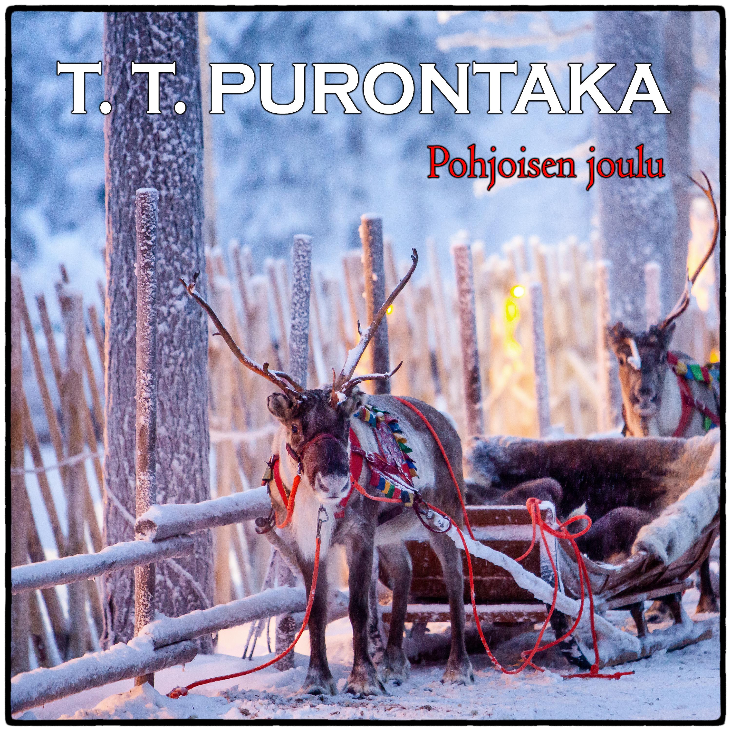 Постер альбома Pohjoisen joulu