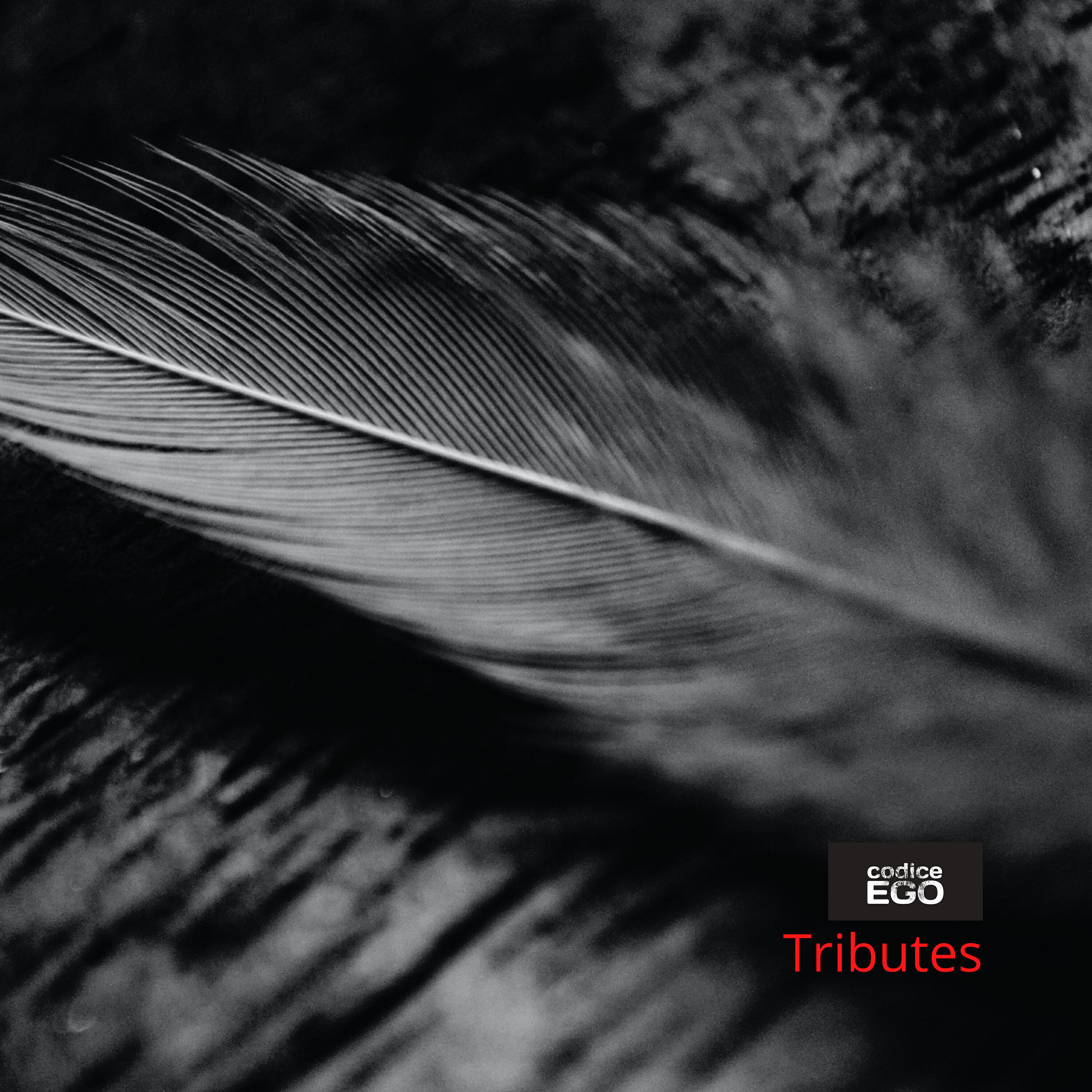 Codige Ego - The Sound of Muzak (Porcupine Tree)