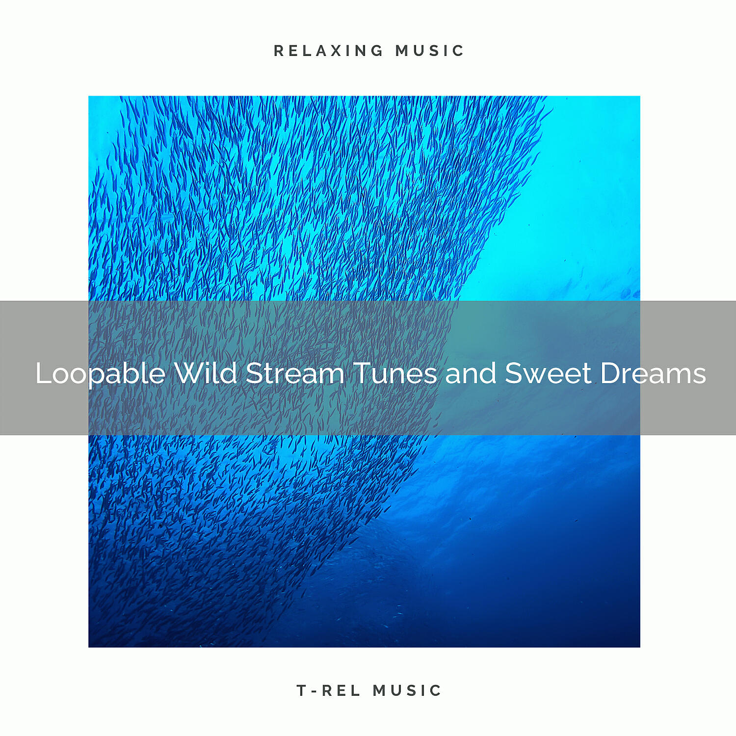 The Nature Soundscapes - White Noise and Sea Sounds For Hard Regeneration